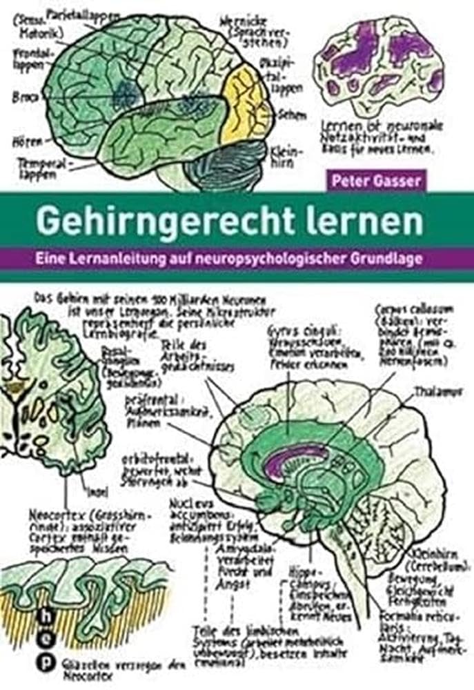 Gehirngerecht lernen: Eine Lernanleitung auf neuropsychologischer Grundlage Psychology
