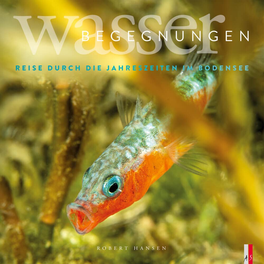 Wasser Begegnungen: Eine Reise durch die Jahreszeiten im Bodensee book