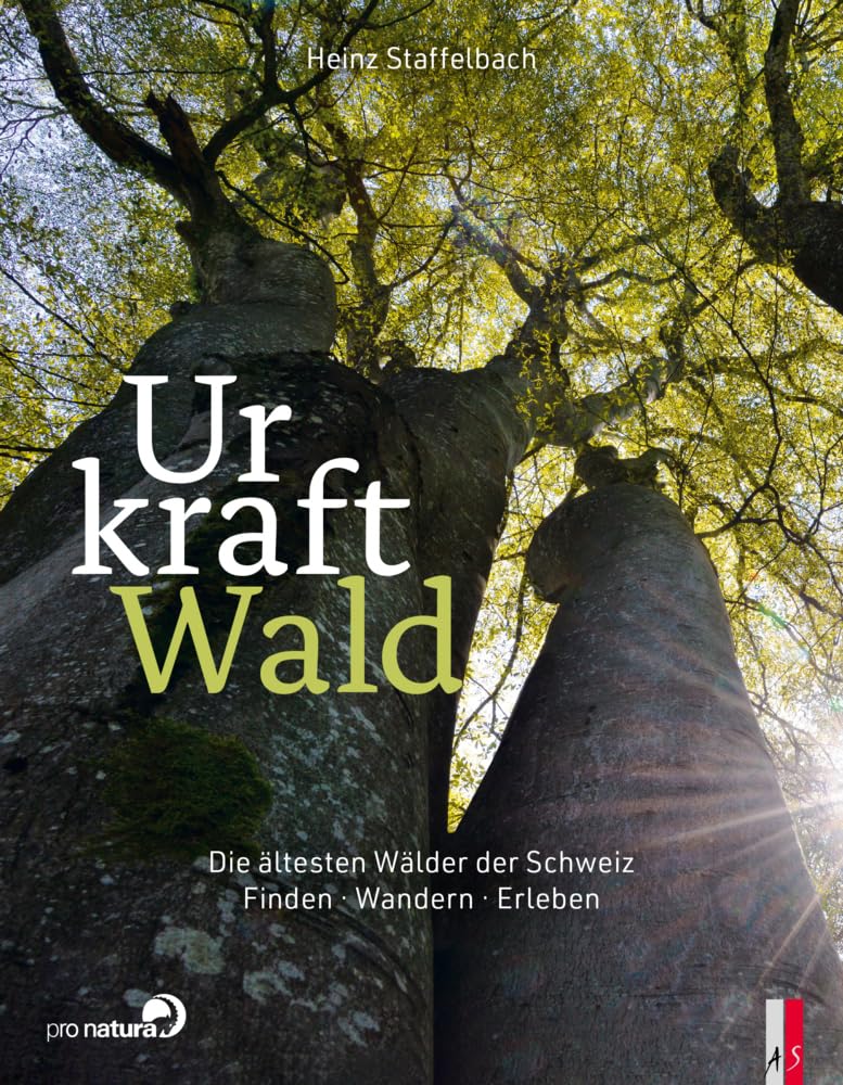 Urkraft Wald: Die ältesten Wälder der Schweiz. Finden – Wandern – Erleben Leisure, Home & Garden