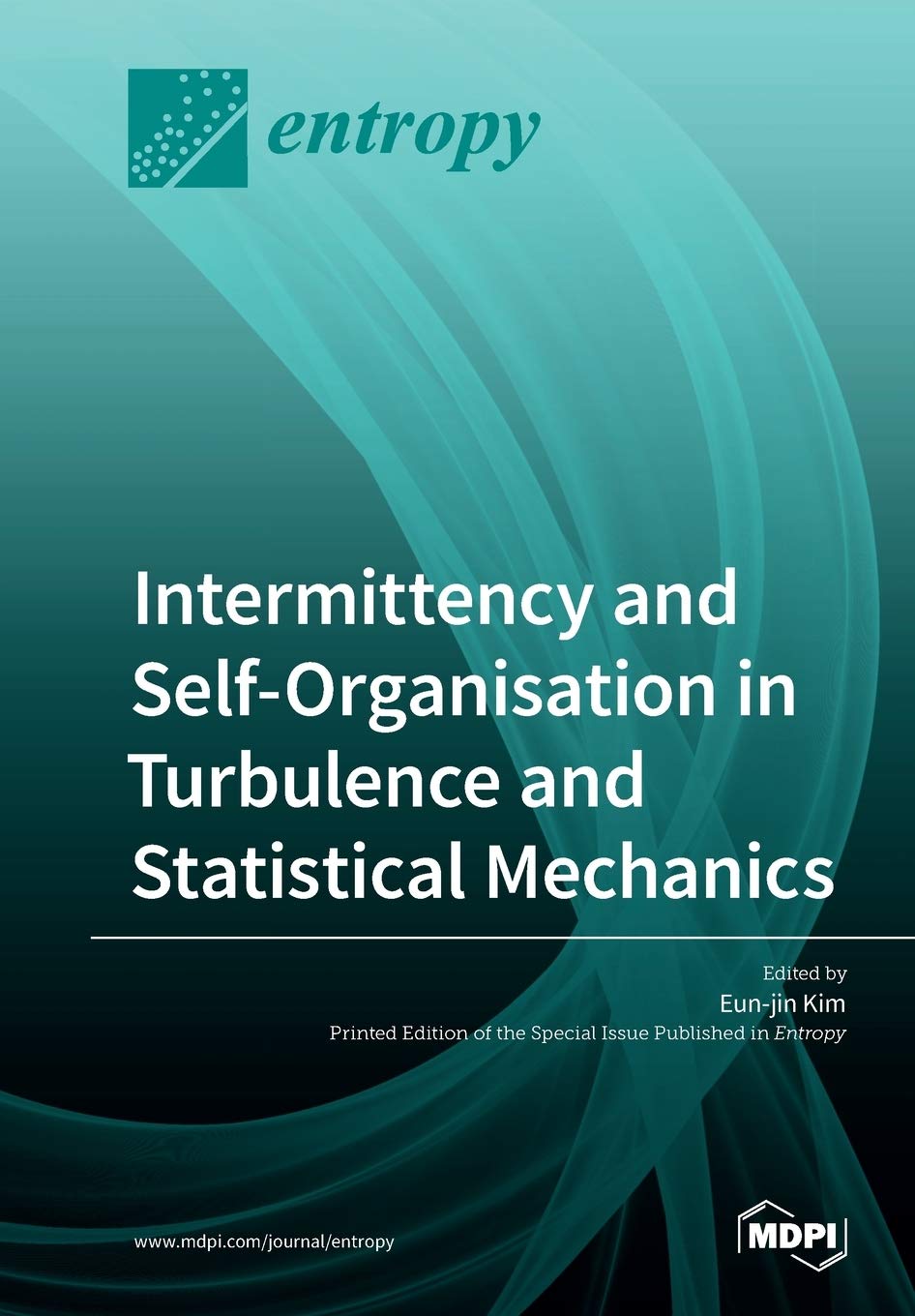 Intermittency and Self-Organisation in Turbulence and Statistical Mechanics Mathematics