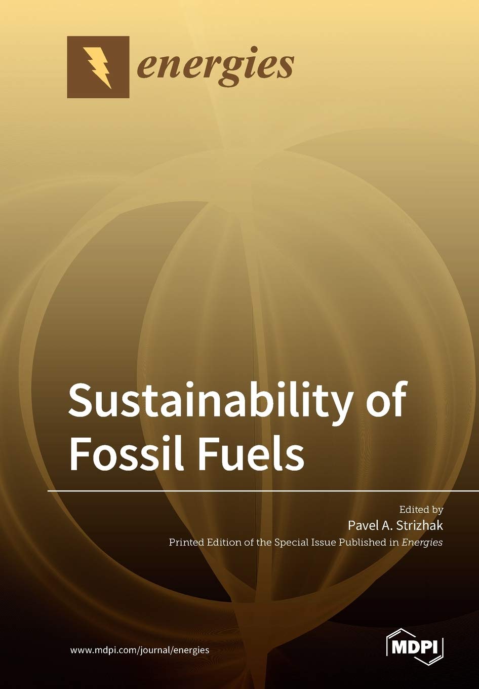 Sustainability of Fossil Fuels Business, Finance & Career
