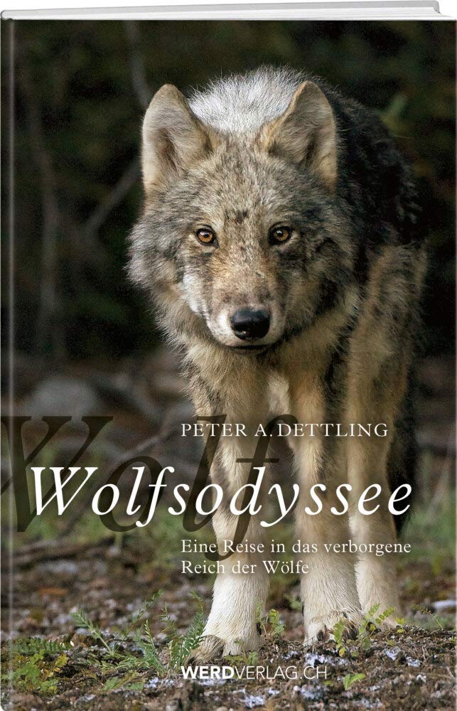 Wolfsodyssee Leisure, Home & Garden Books