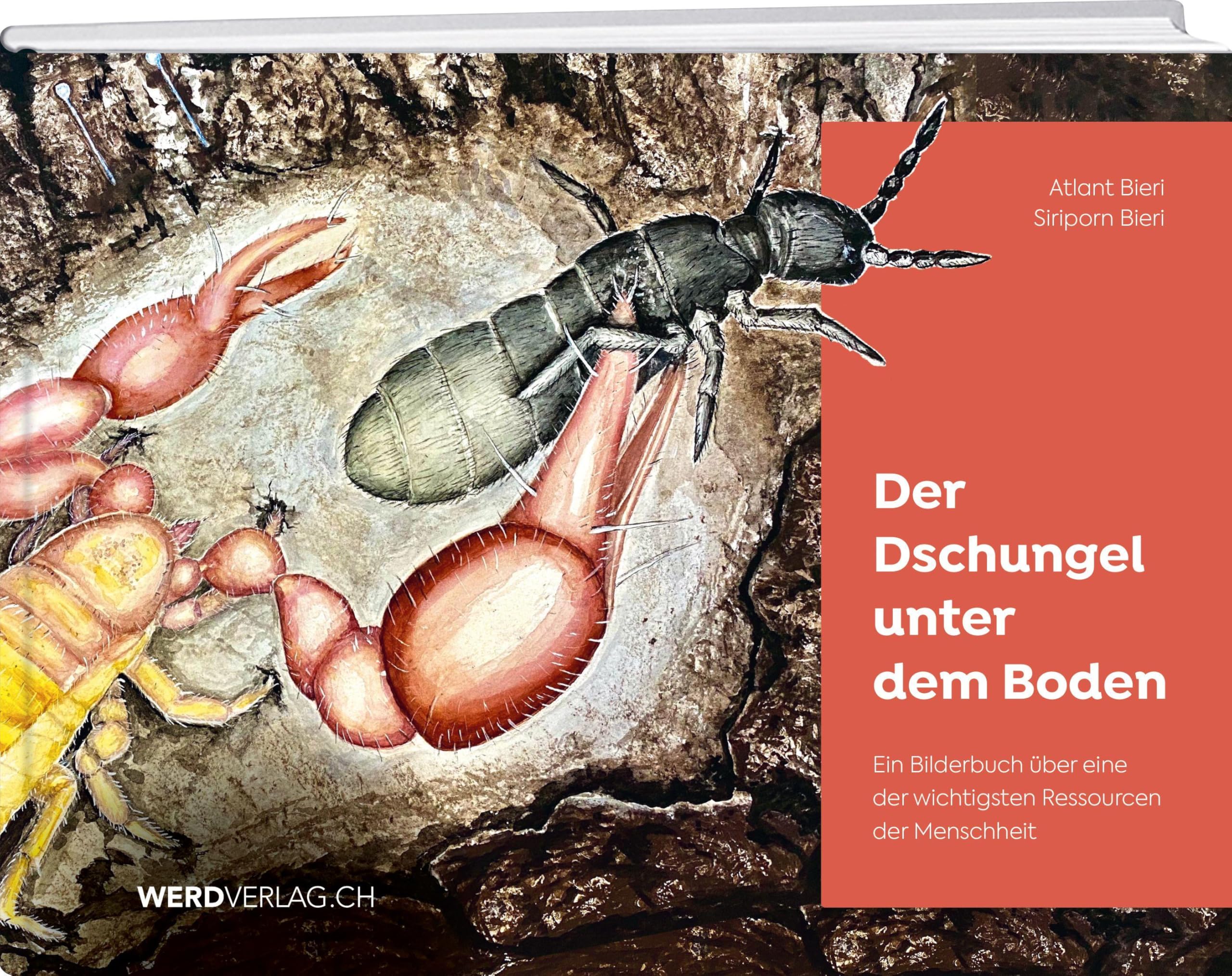 Der Dschungel unter dem Boden: Ein Bilderbuch über eine der wichtigsten Ressourcen der Menschheit Leisure, Home & Garden