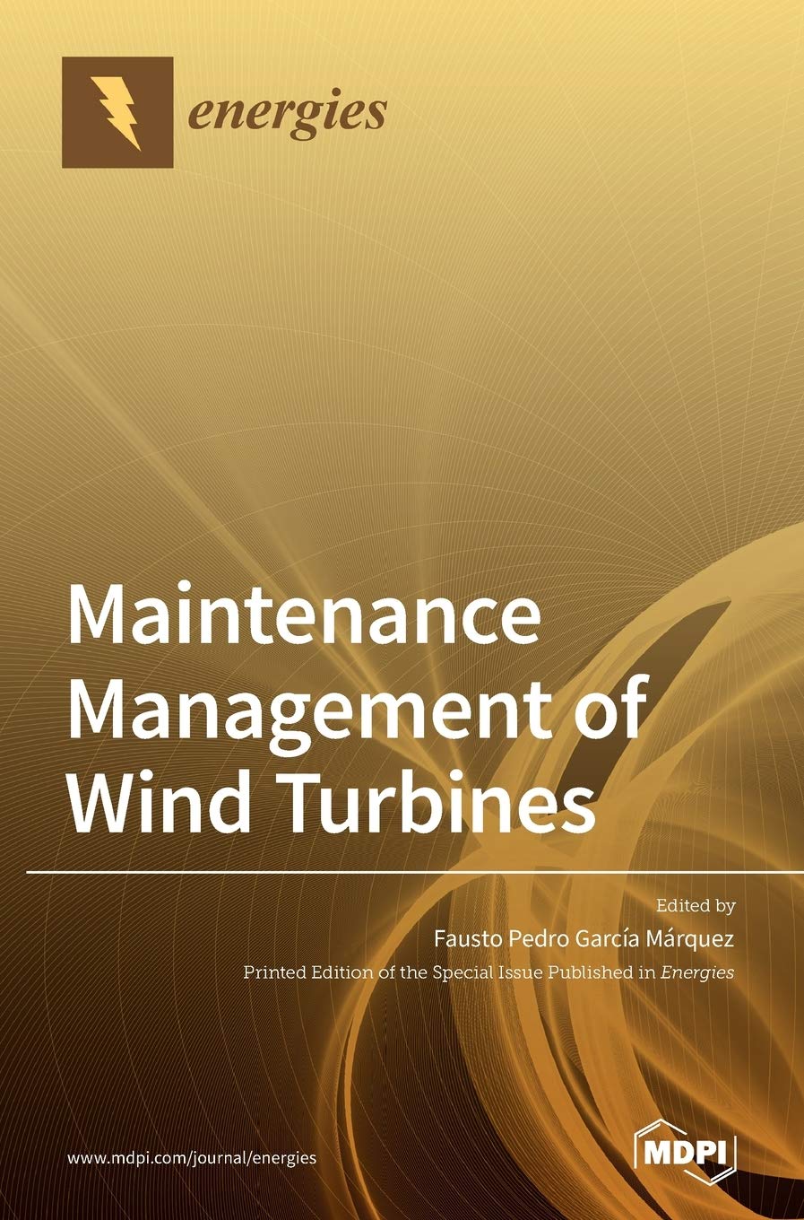 Maintenance Management of Wind Turbines Business & Technology