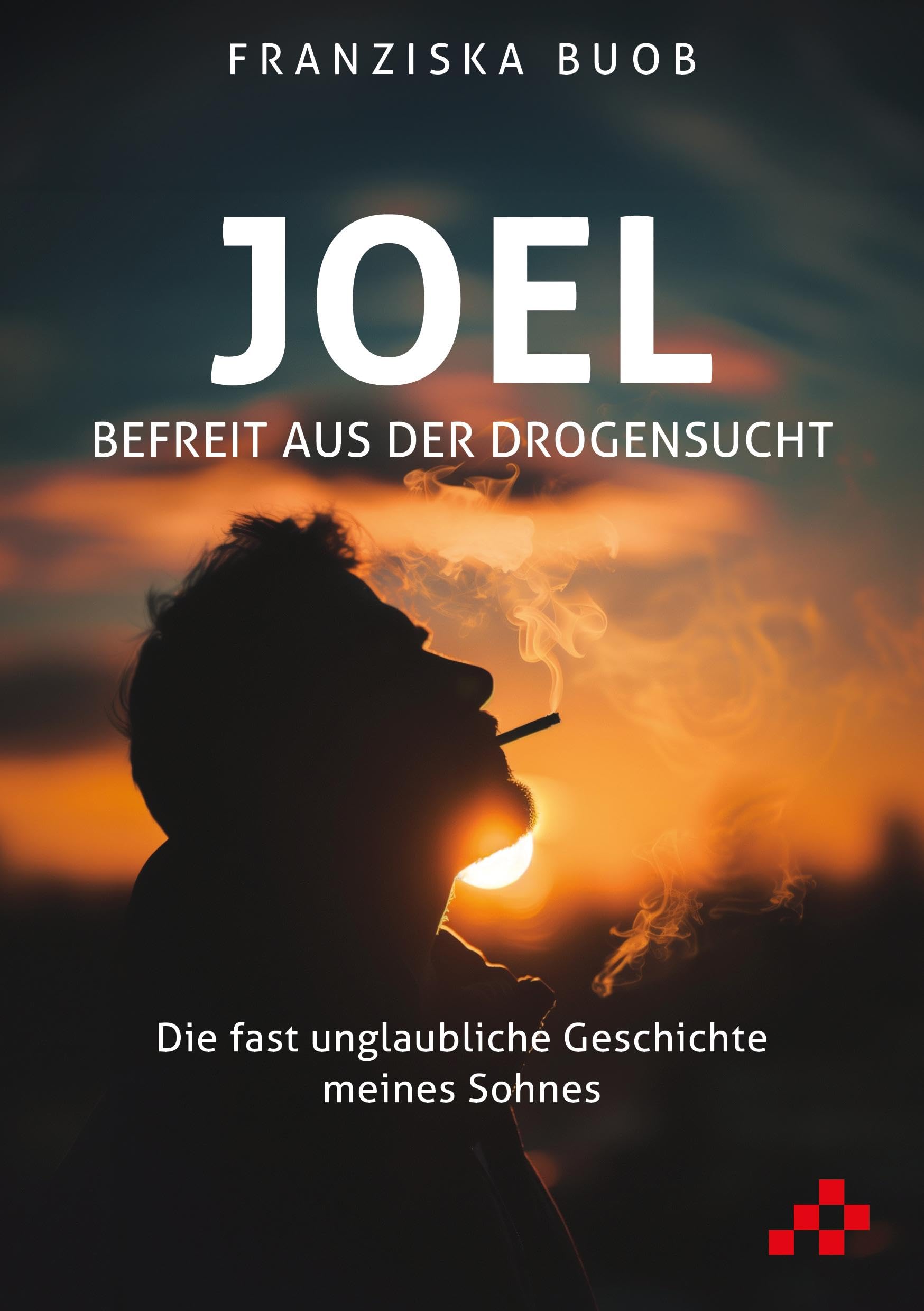 Joel – Befreit aus der Drogensucht: Die fast unglaubliche Geschichte meines Sohnes Social Sciences