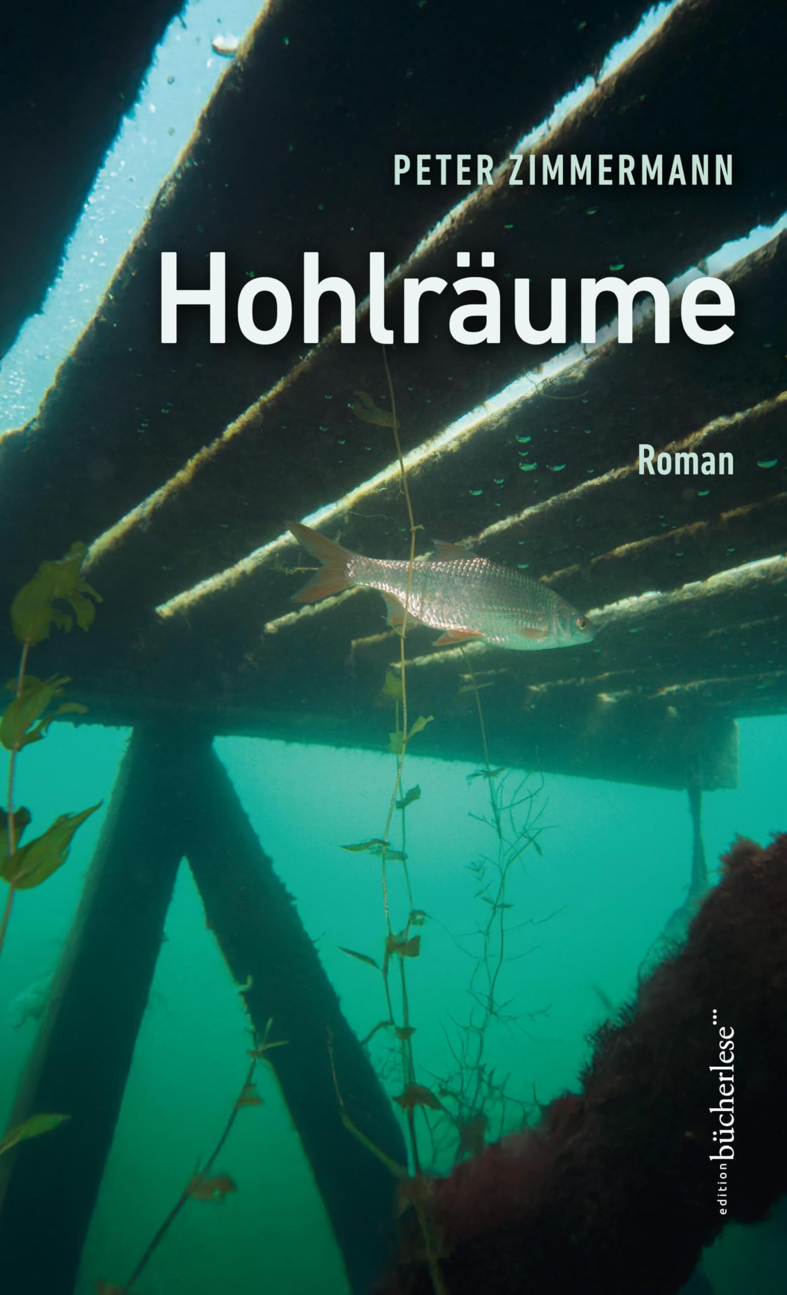 Hohlräume Contemporary literature Books