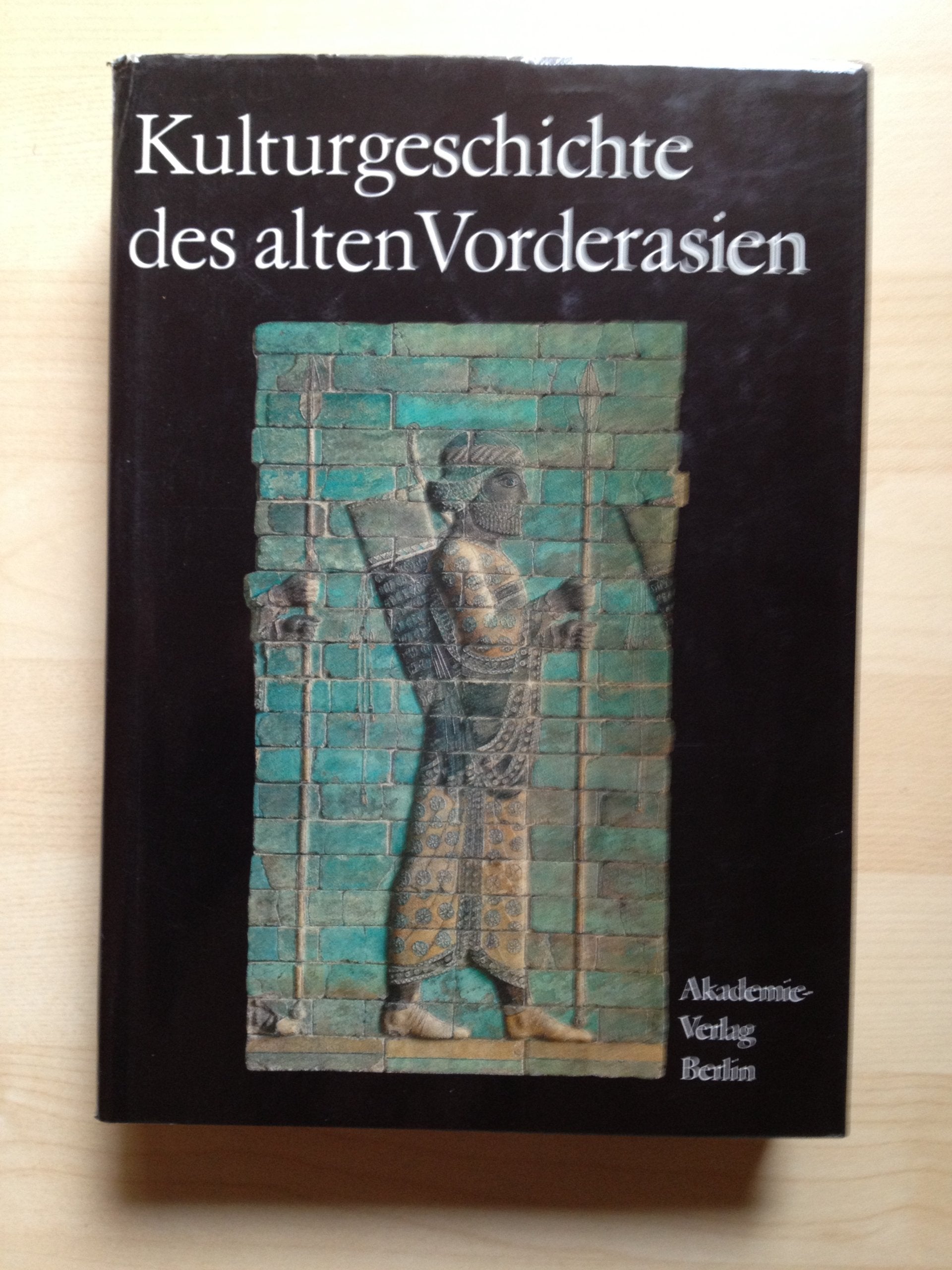 Kulturgeschichte des alten Vorderasien (Veröffentlichungen des Zentralinstituts für Alte Geschichte) Social Sciences