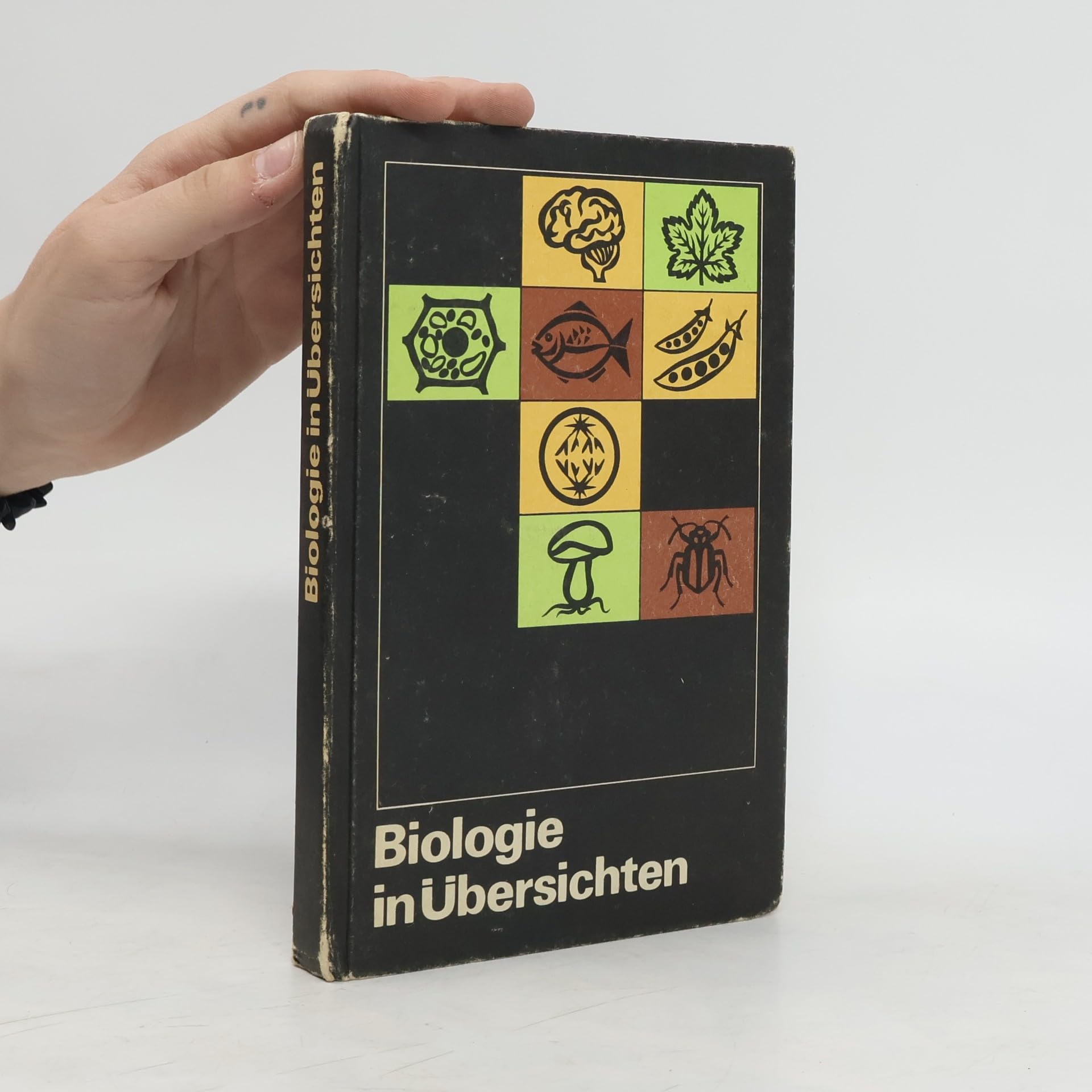 Biologie in Übersichten Wissensspeicher für den Unterricht Books
