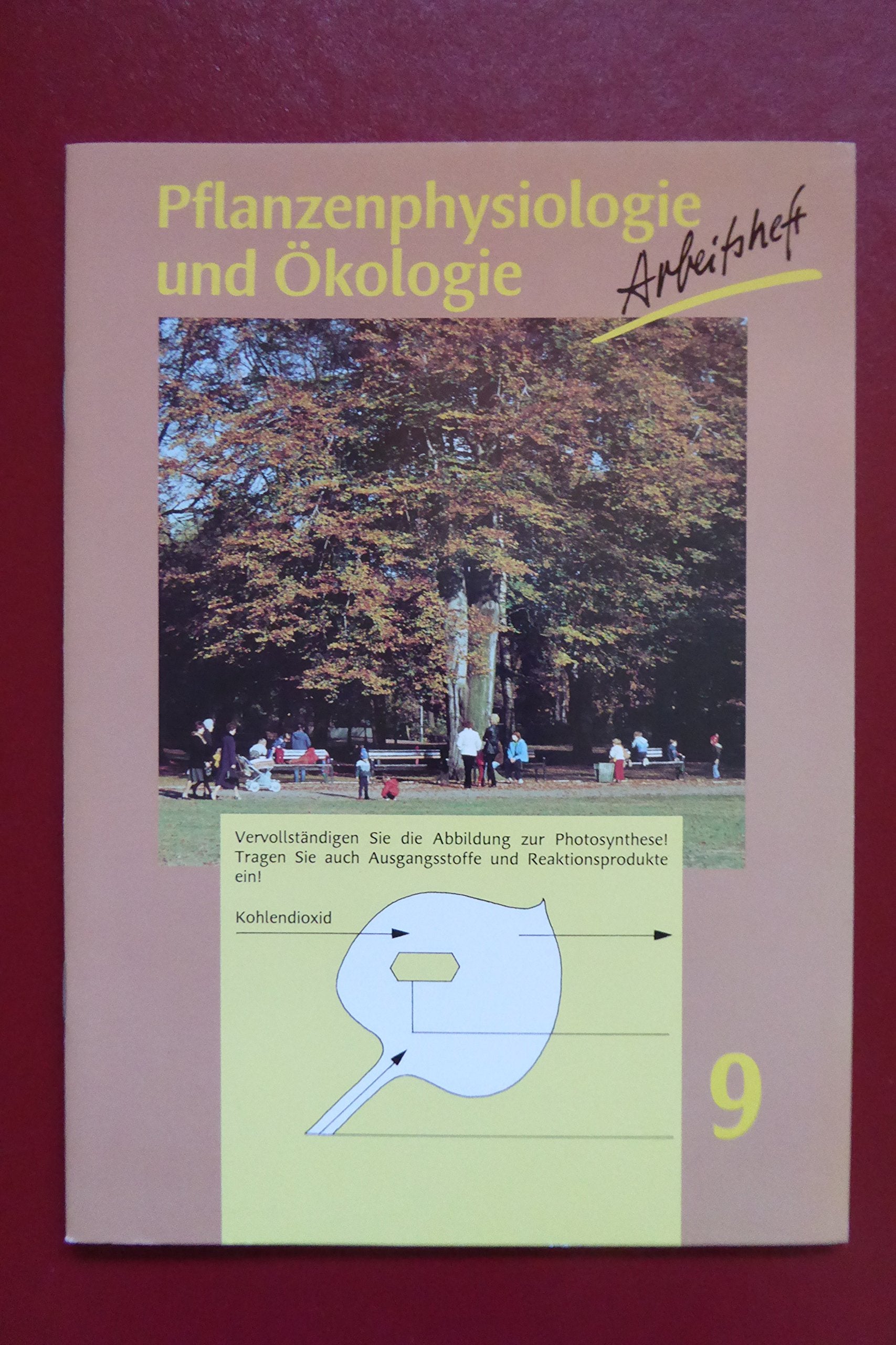 Biologie - Ausgabe Volk und Wissen - Östliche Bundesländer - Bisherige Ausgabe: Pflanzenphysiologie und Ökologie, Arbeitsheft Leisure, Home & Garden