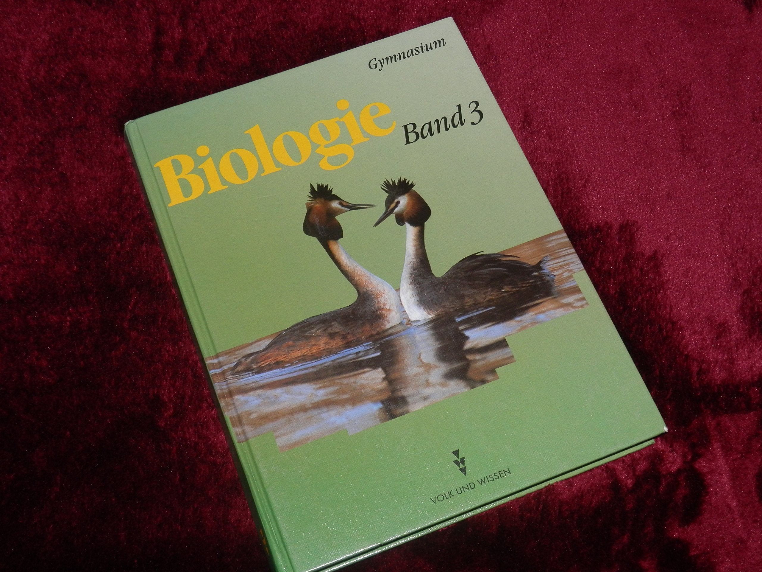 Biologie - Ausgabe Volk und Wissen - Gymnasium Östliche Bundesländer: Biologie Band 3, Ausgabe für die Neuen Bundesländer, Lehrbuch Study Guides