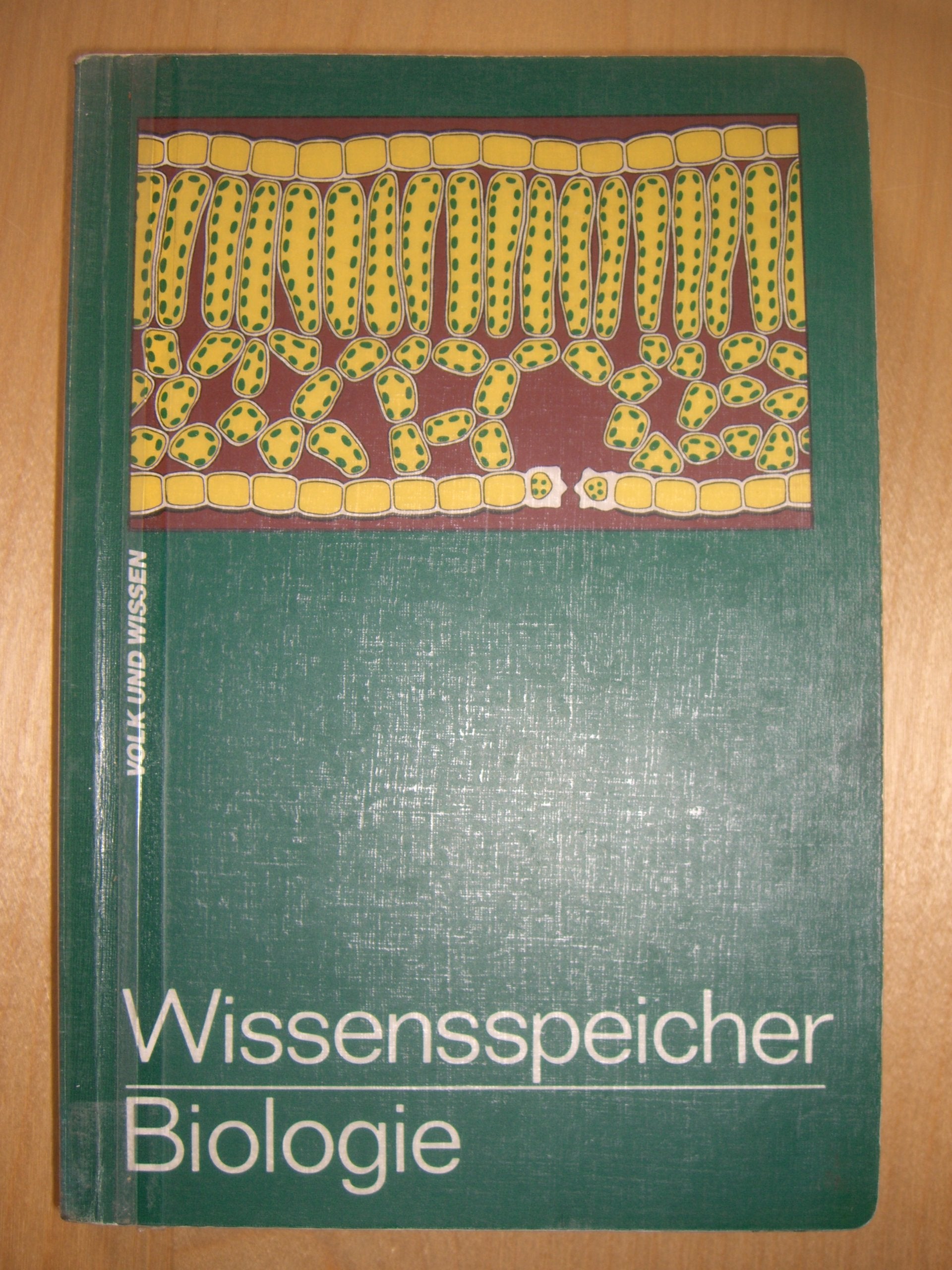 Wissensspeicher Biologie: Das Wichtigste in Stichworten und Übersichten Education & Training