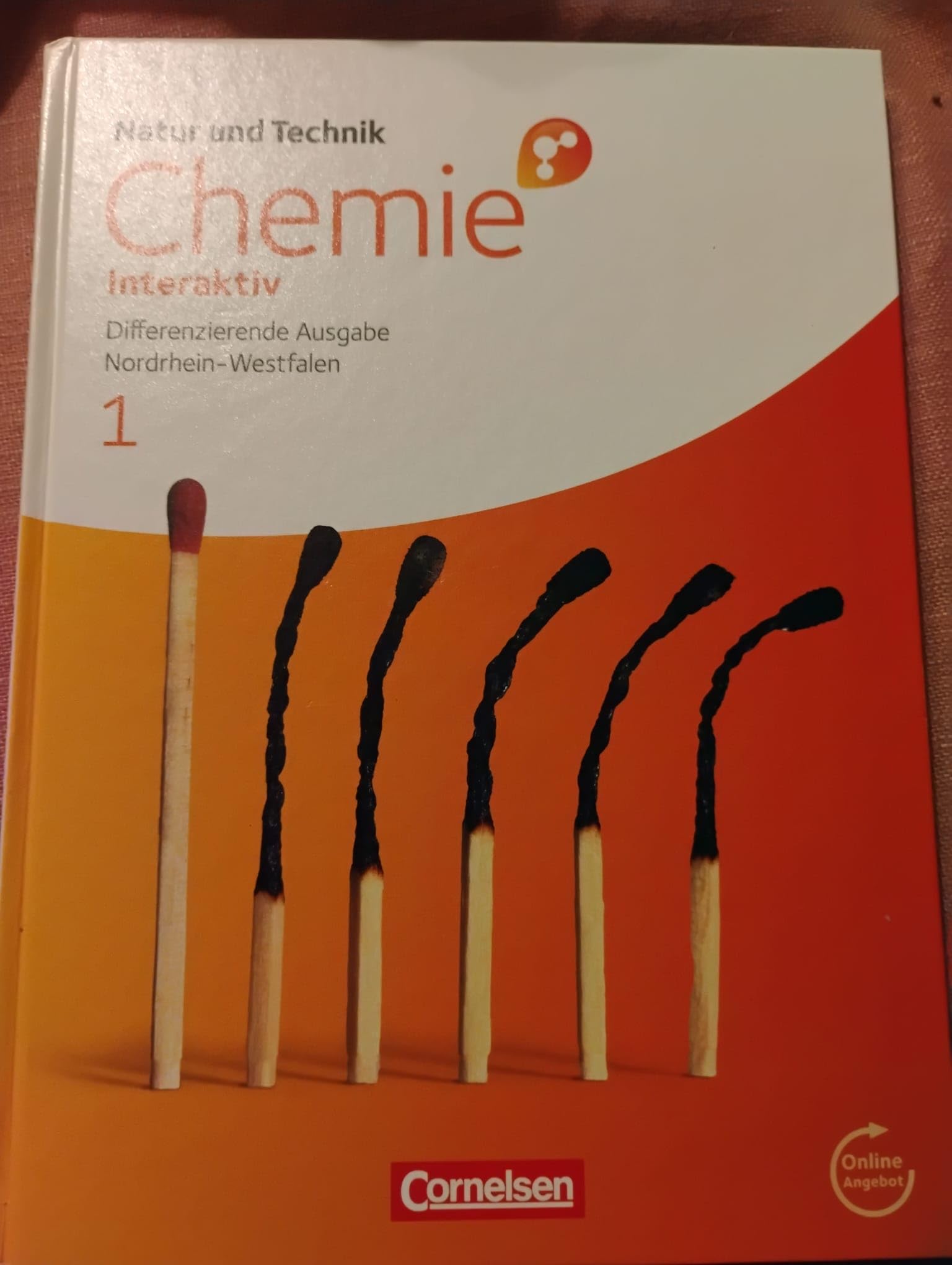 Chemie interaktiv 1. Schülerbuch. Differenzierende Ausgabe Realschule Nordrhein-Westfalen Study Guides