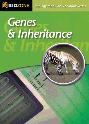 Biology Modular Workbook Series - Biologie: Ab 11. Schuljahr - Genes & Inheritance: Workbook Study Guides