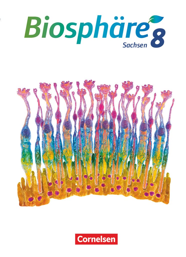 Biosphäre Sekundarstufe I - Gymnasium Sachsen 2020 - 8. Schuljahr: Schulbuch Study Guides