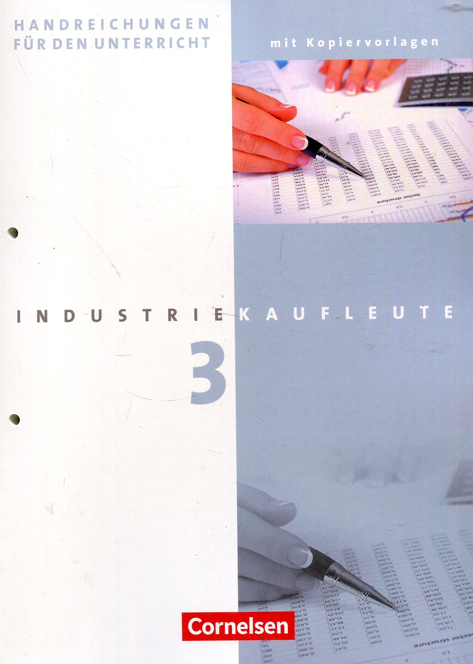 Industriekaufleute: 3. Ausbildungsjahr: Lernfelder 10-12 - Handreichungen für den Unterricht mit Kopiervorlagen Books