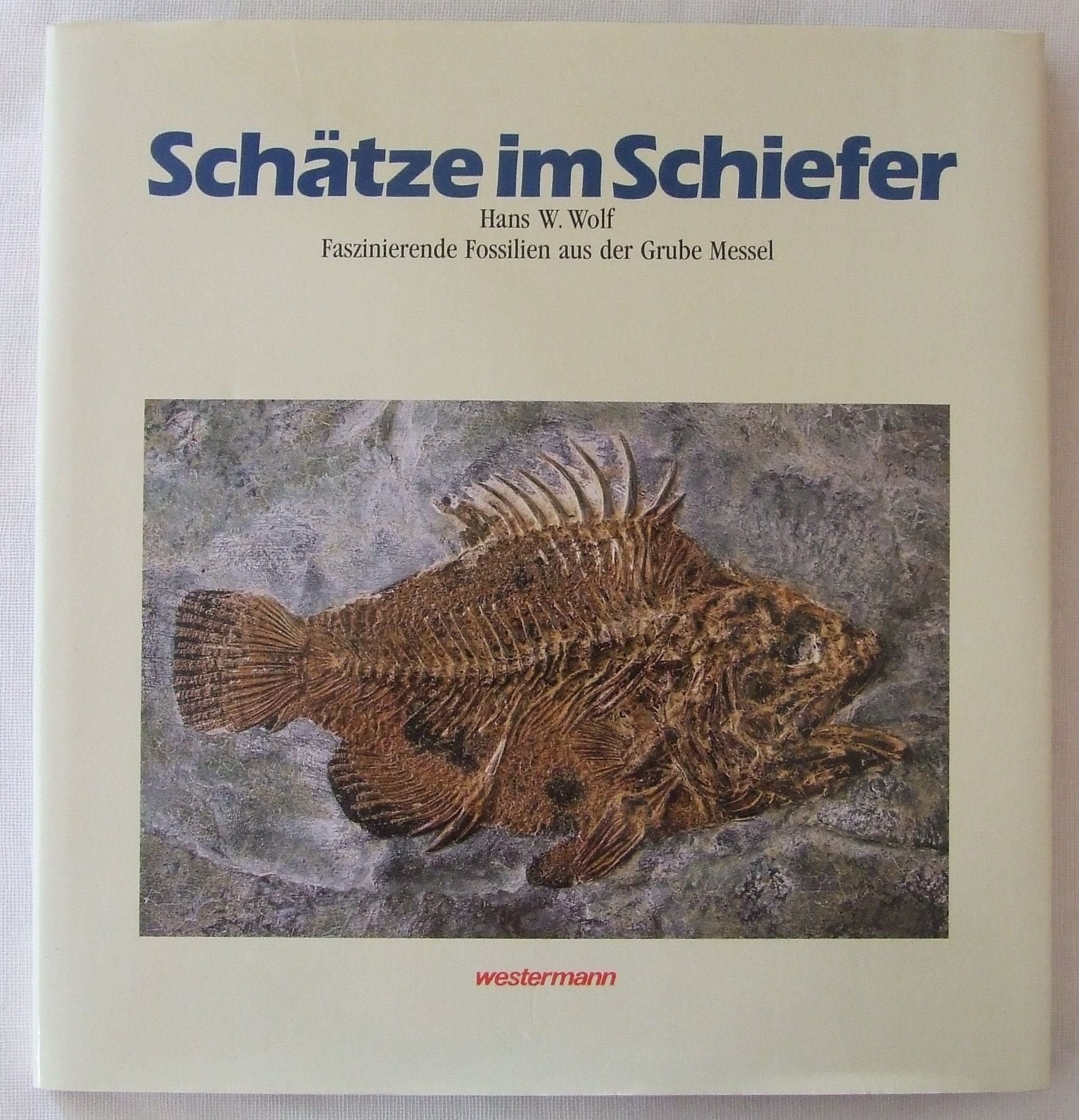 Schätze im Schiefer: Faszinierende Fossilien aus der Grube Messel Film, Art & Culture
