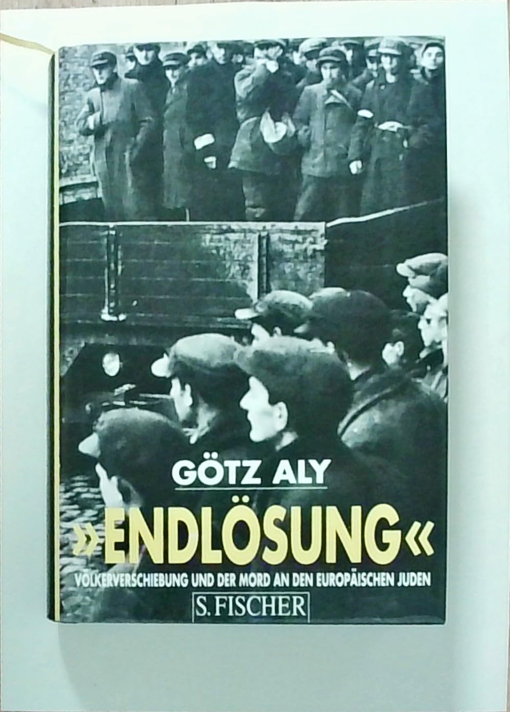 'Endlösung' Politics & History