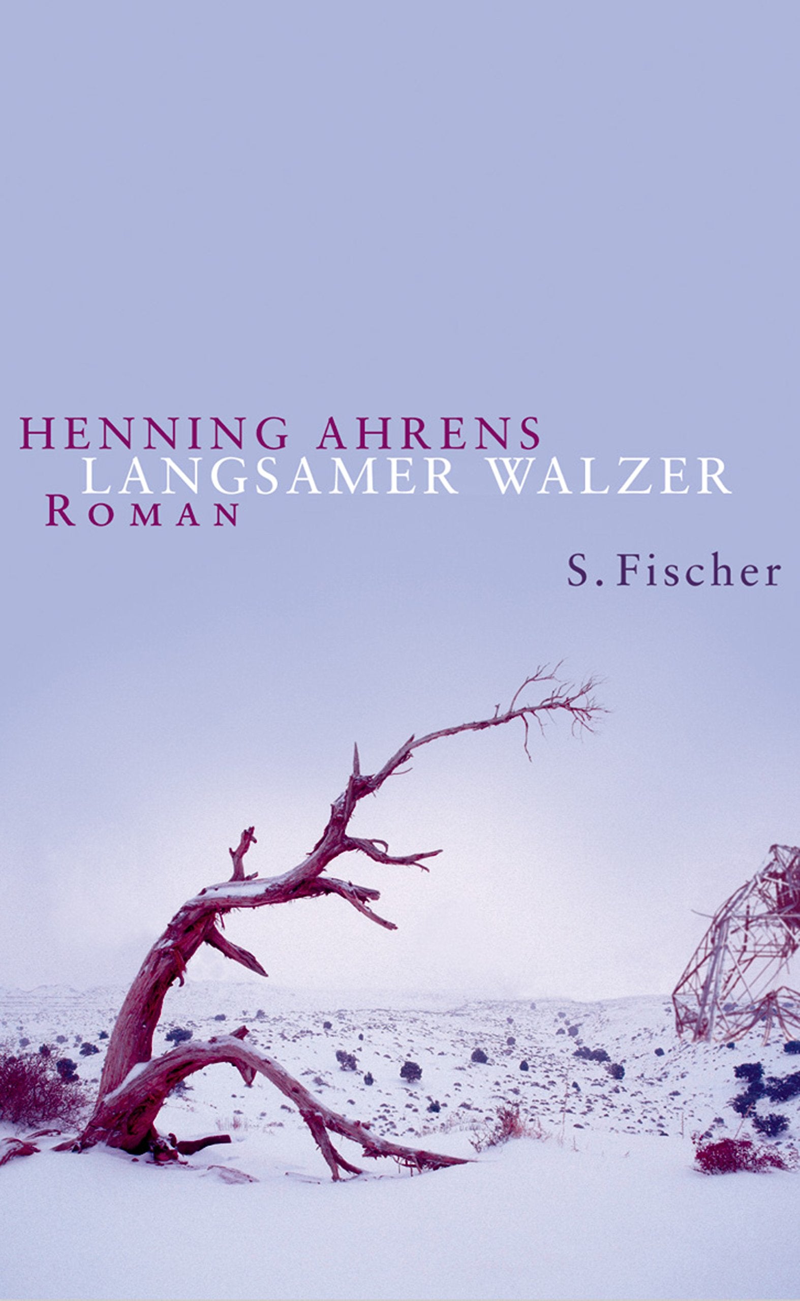 Langsamer Walzer: Roman Contemporary literature