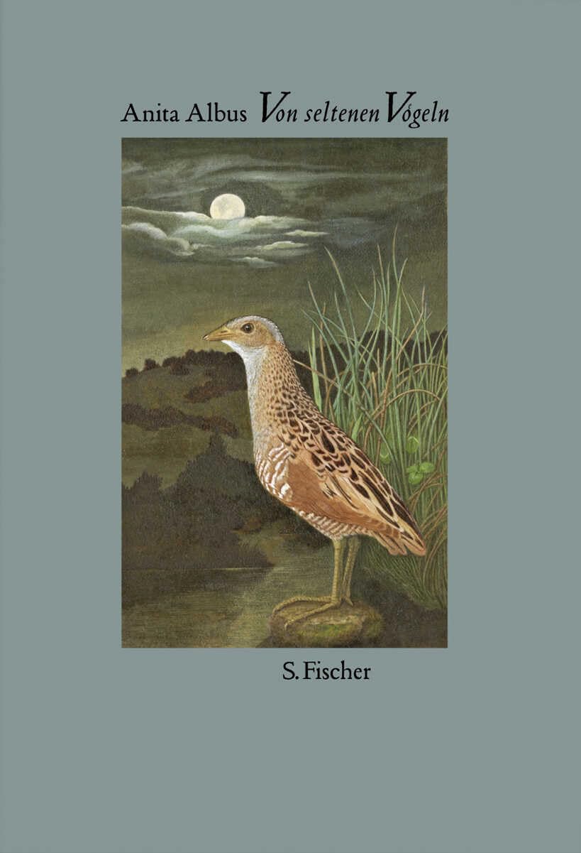 Von seltenen Vögeln Contemporary literature