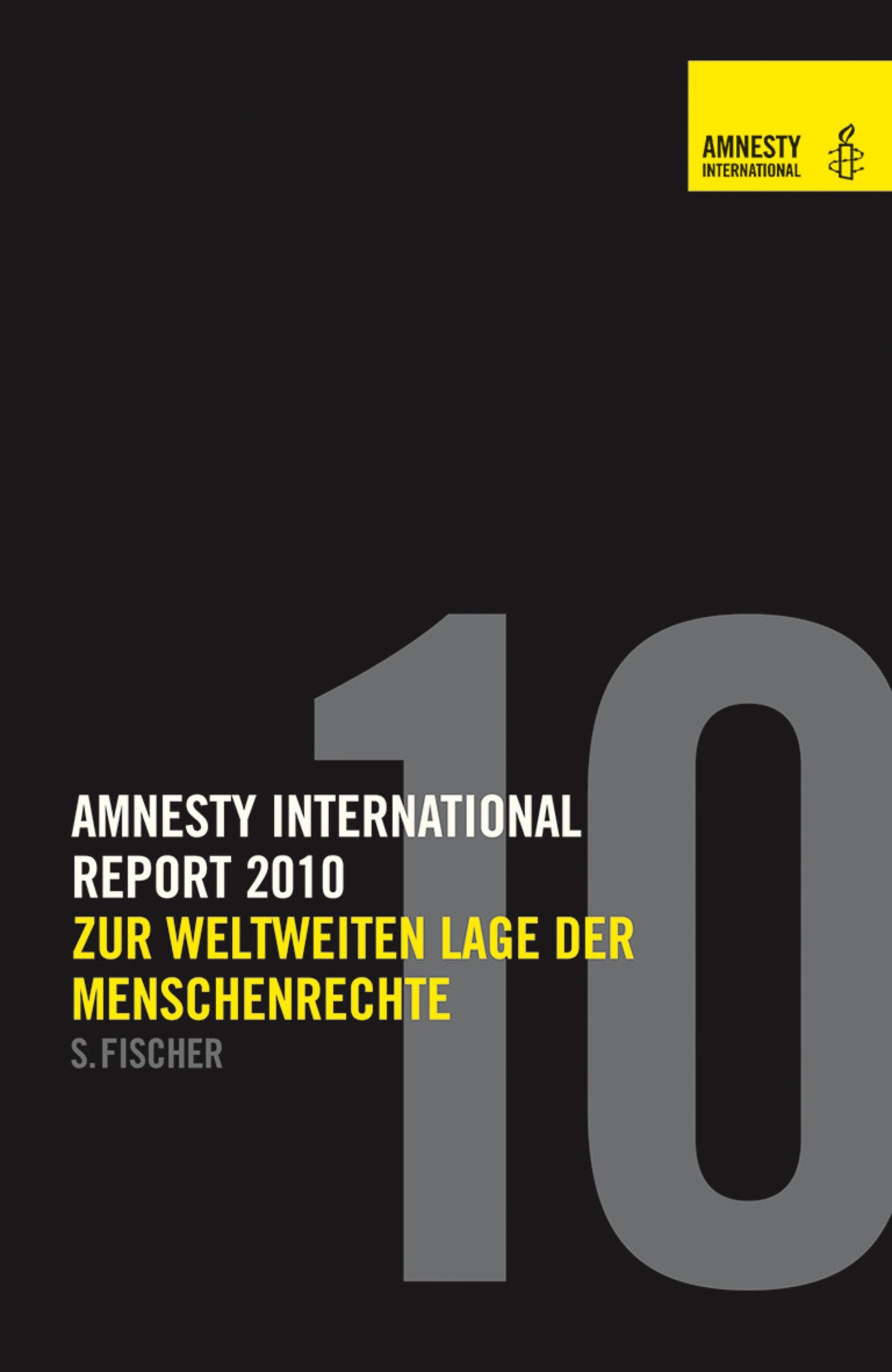 Report 2010: Zur weltweiten Lage der Menschenrechte: Zur weltweiten Lage der Menschenrechte. Hrsg. v. amnesty international Law