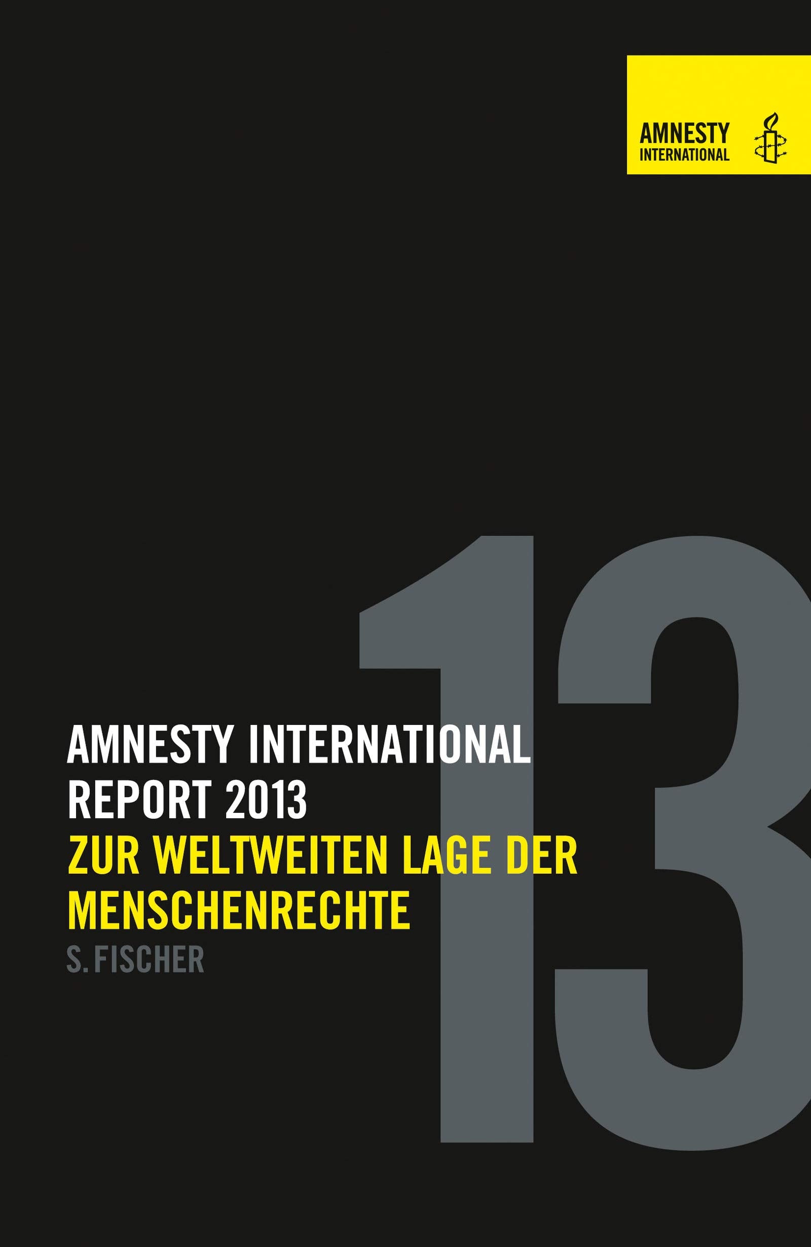 Amnesty Report 2013: Zur weltweiten Lage der Menschenrechte. Herausgegeben von Amnesty International Law