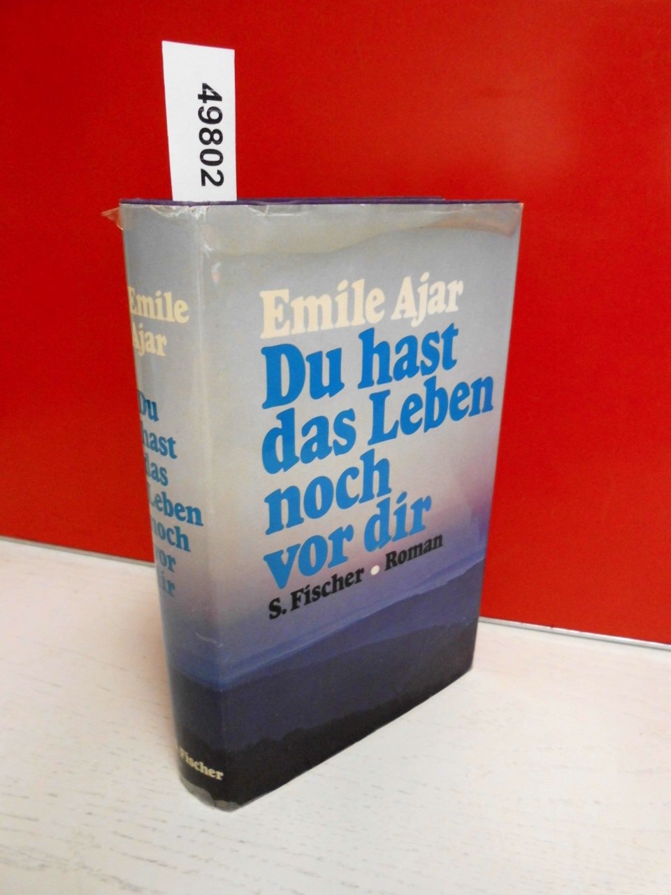 Du hast das Leben noch vor dir. Roman Politics & History books