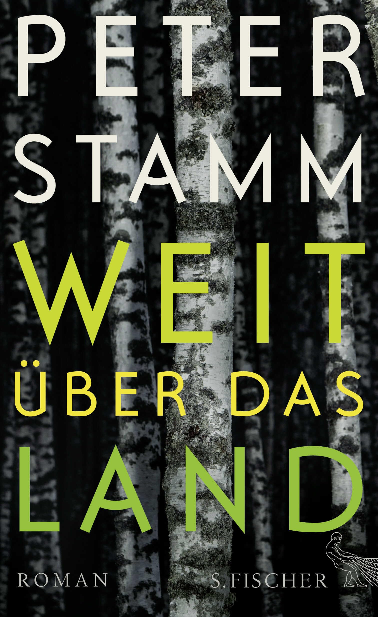 Weit über das Land Contemporary literature Books