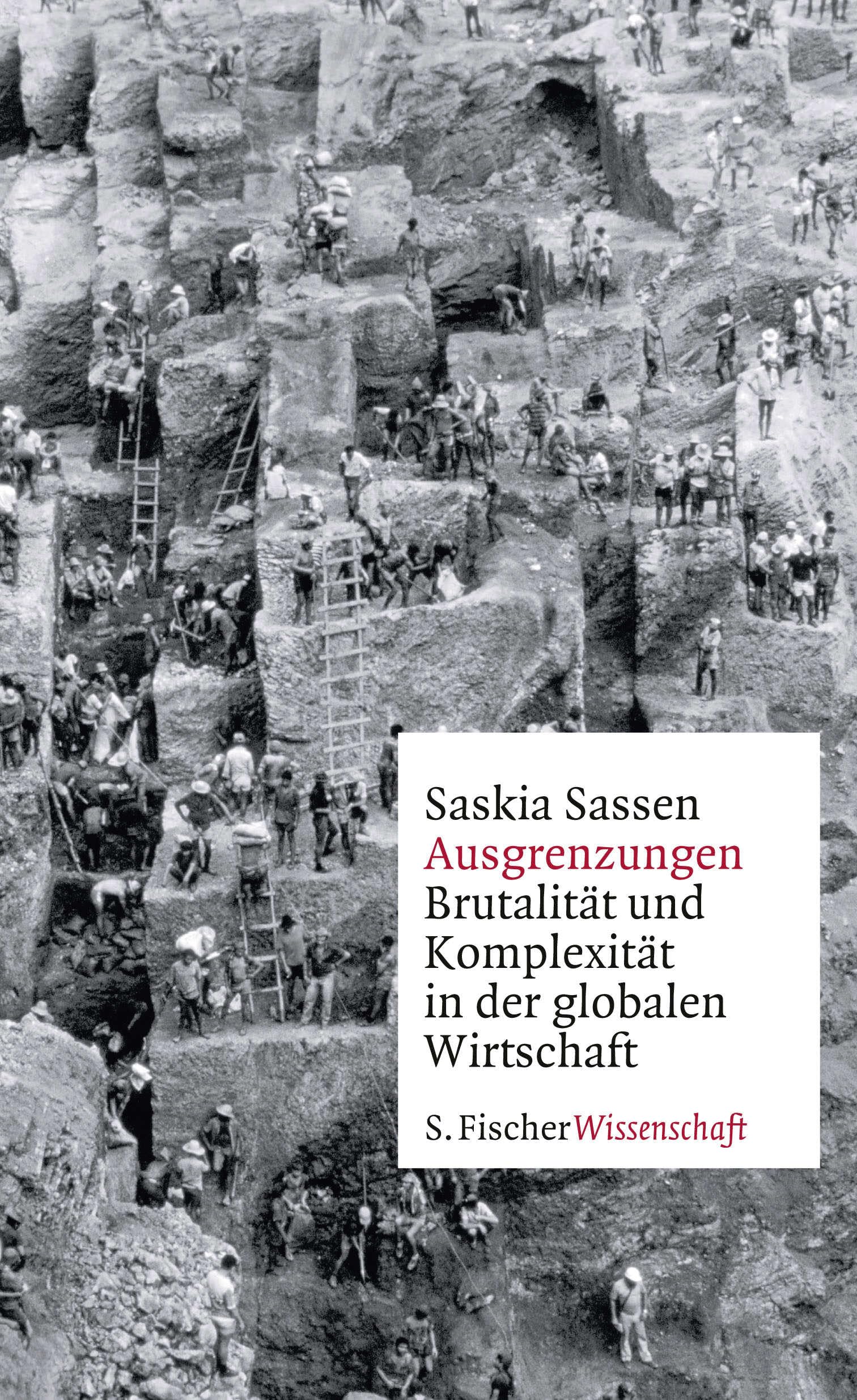 Ausgrenzungen: Brutalität und Komplexität in der globalen Wirtschaft (Fischer Wissenschaft) Law