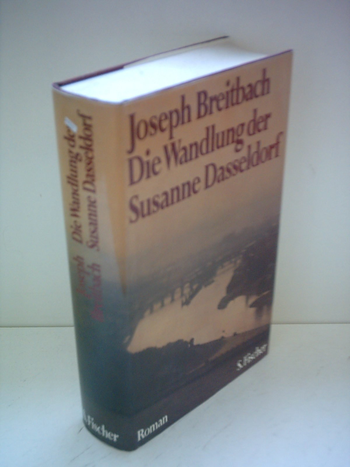 Die Wandlung der Susanne Dasseldorf. Roman Classics