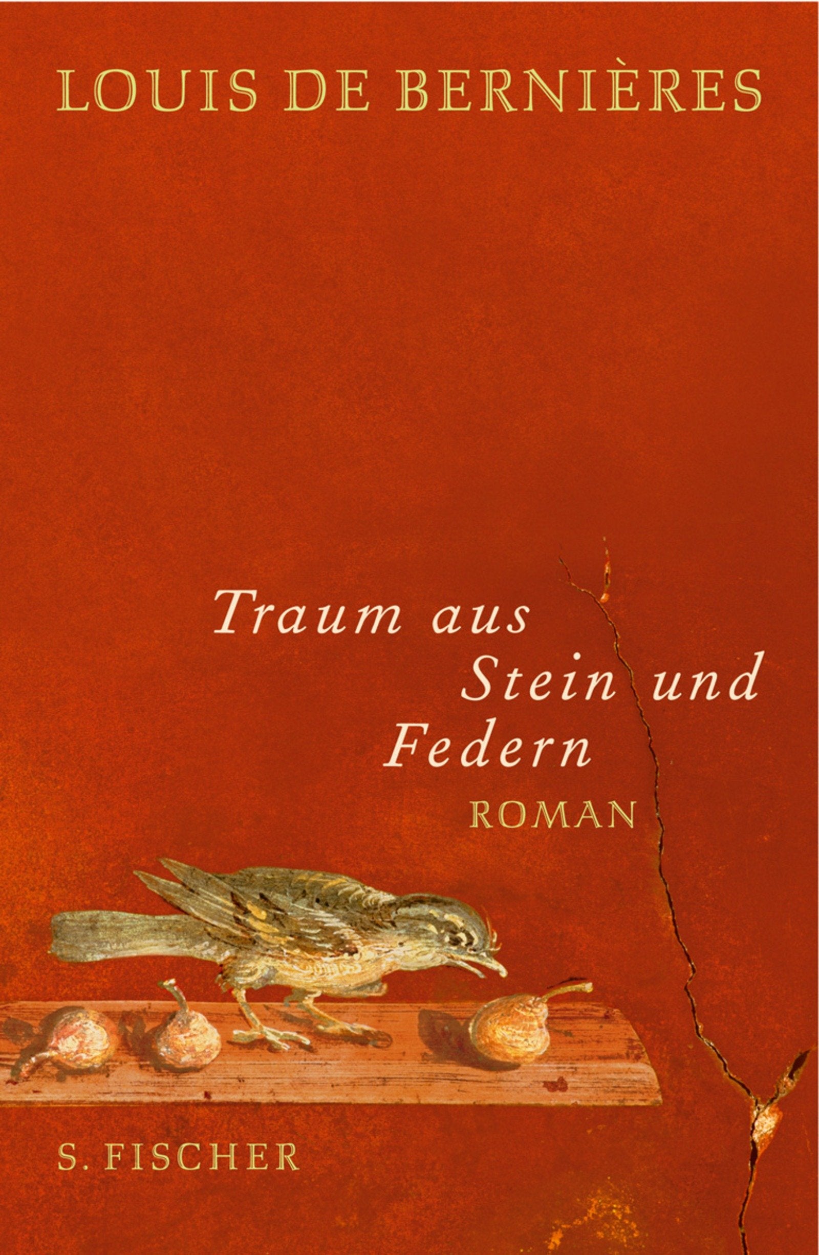 Traum aus Stein und Federn: Roman Contemporary literature