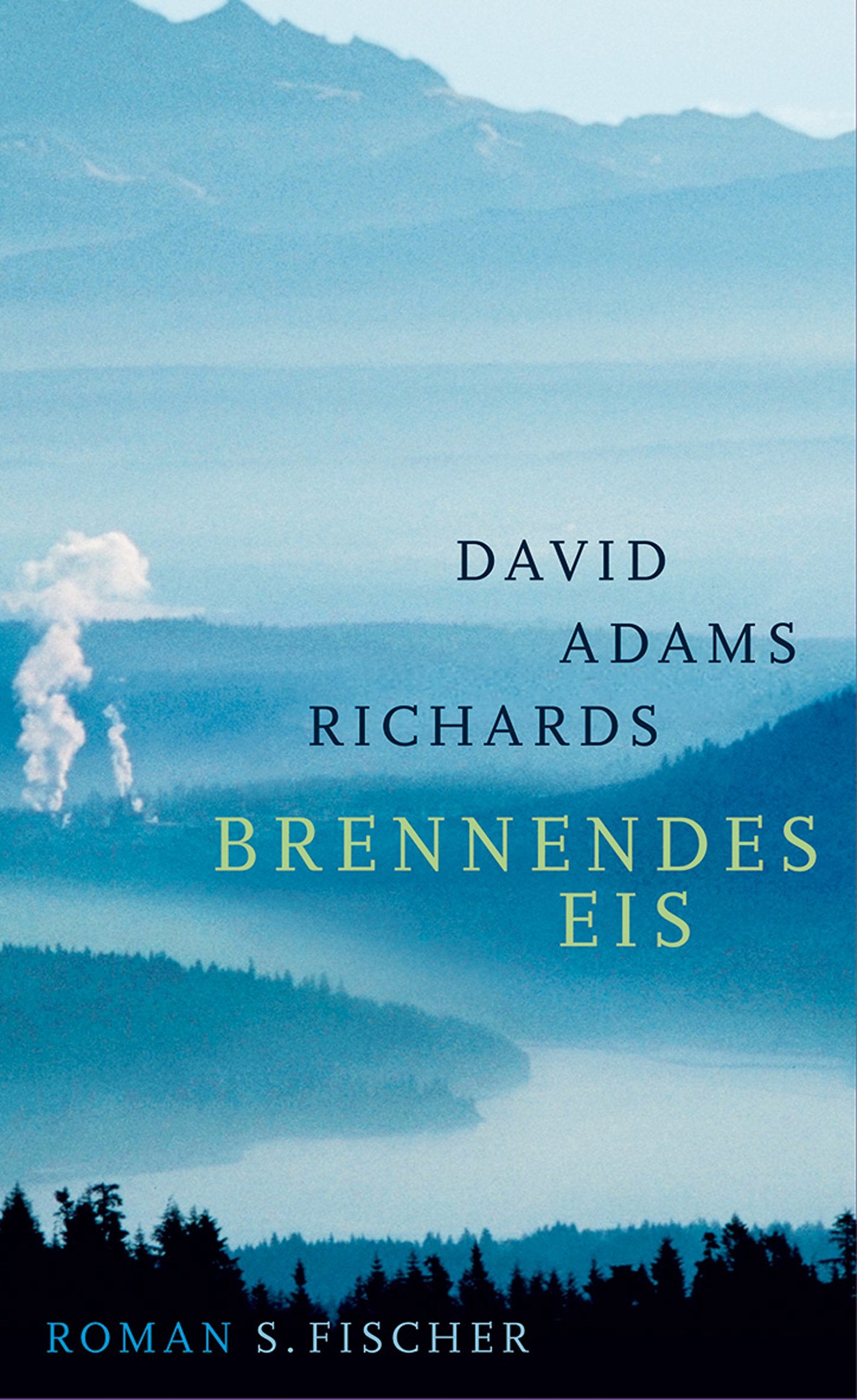Brennendes Eis: Roman Contemporary literature Books