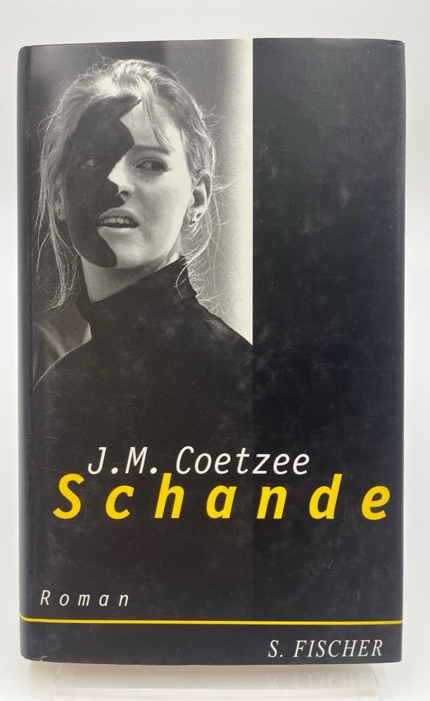 Schande Contemporary literature