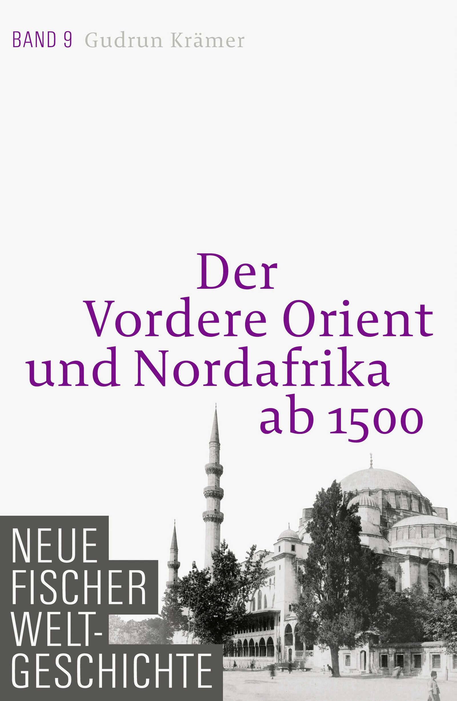 Neue Fischer Weltgeschichte. Band 9 Social Sciences