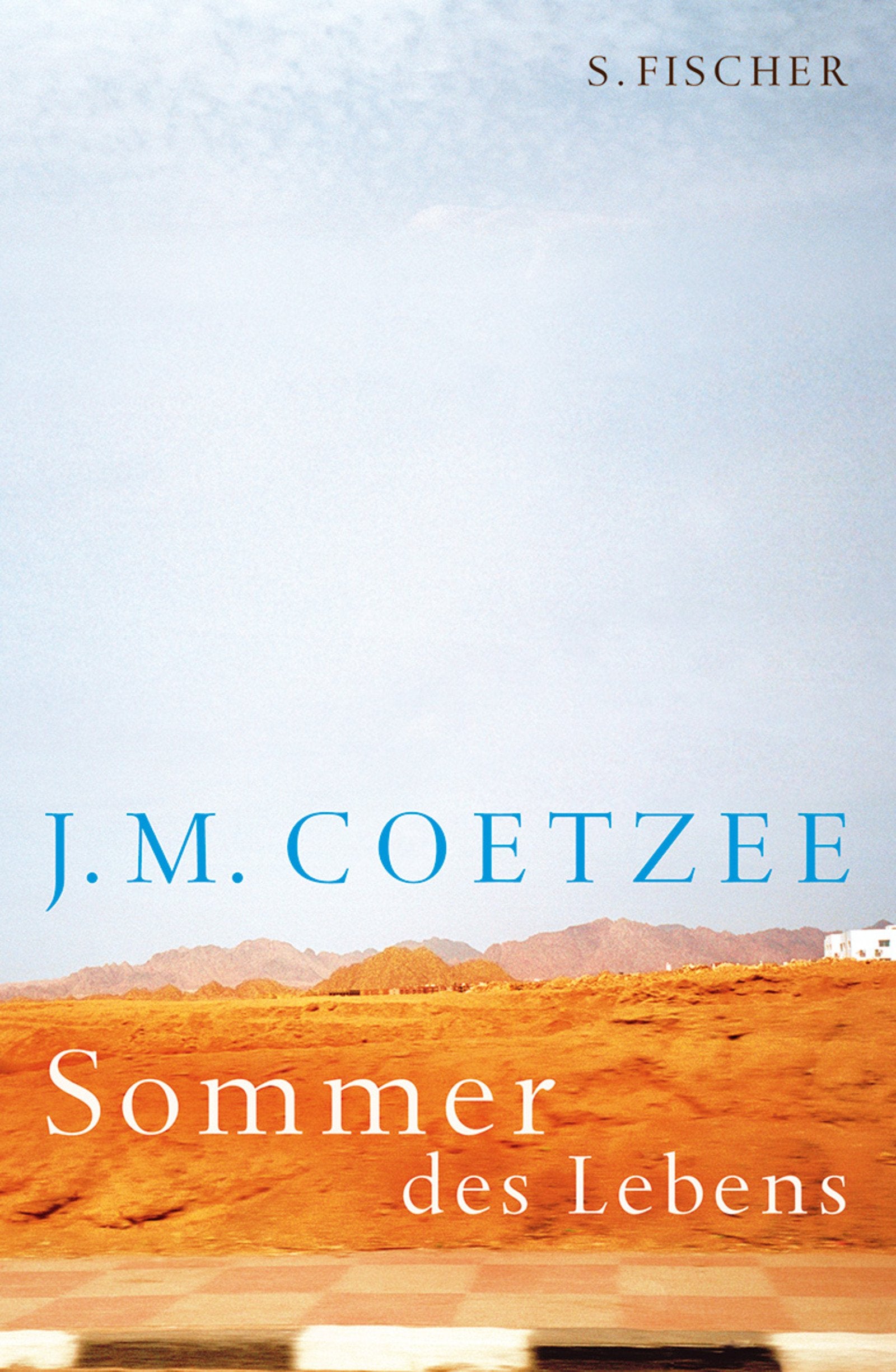 Sommer des Lebens: Roman. Ausgzeichnet mit dem Christina Stead Prize for Fiction 2010 Contemporary literature