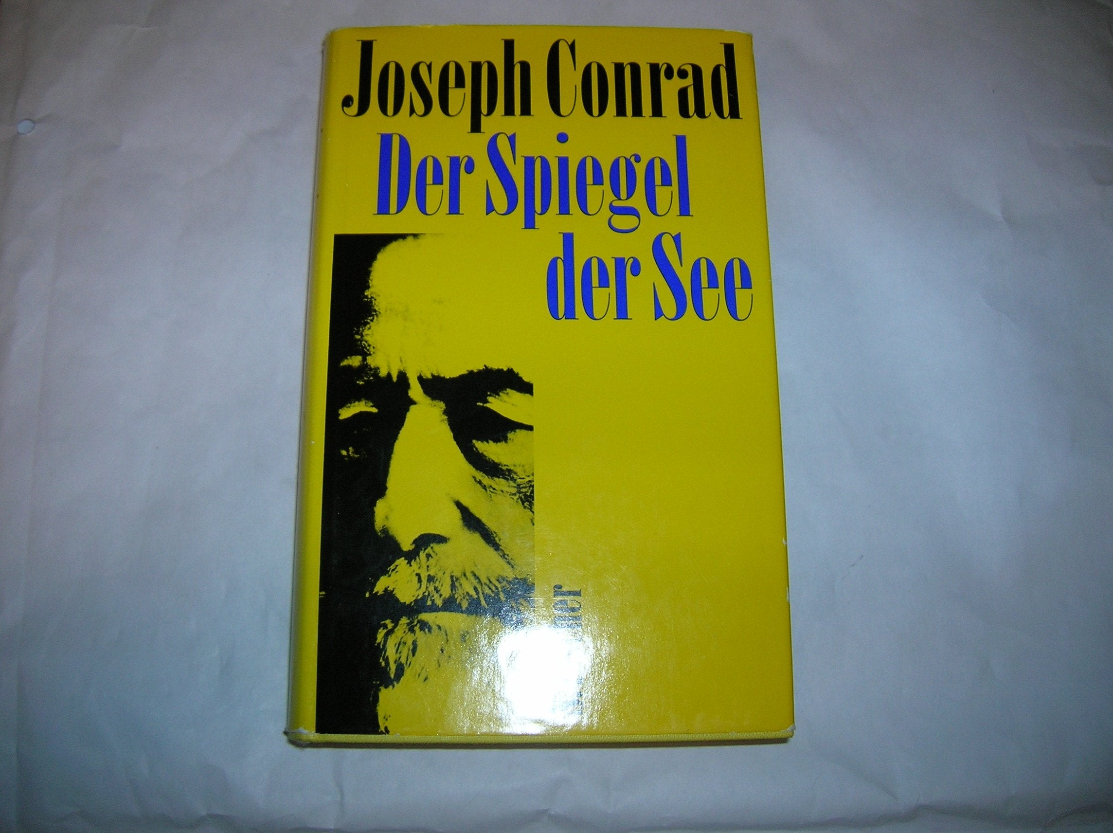 Der Spiegel der See Contemporary literature