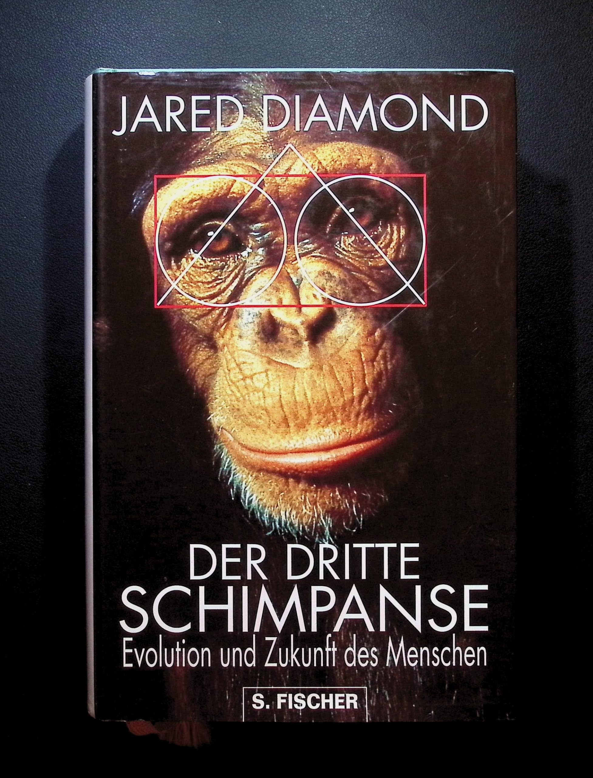 Der dritte Schimpanse Business & Technology