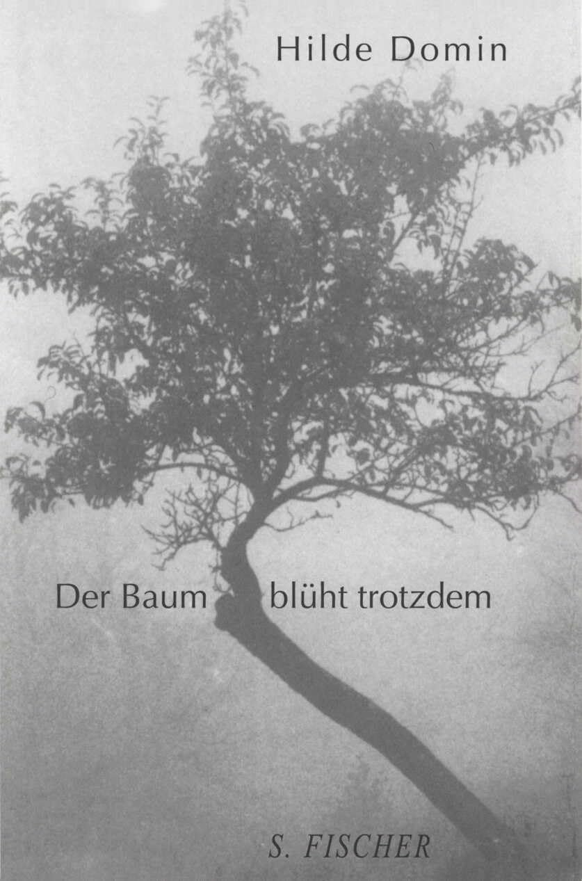 Product Image: Der Baum blüht trotzdem