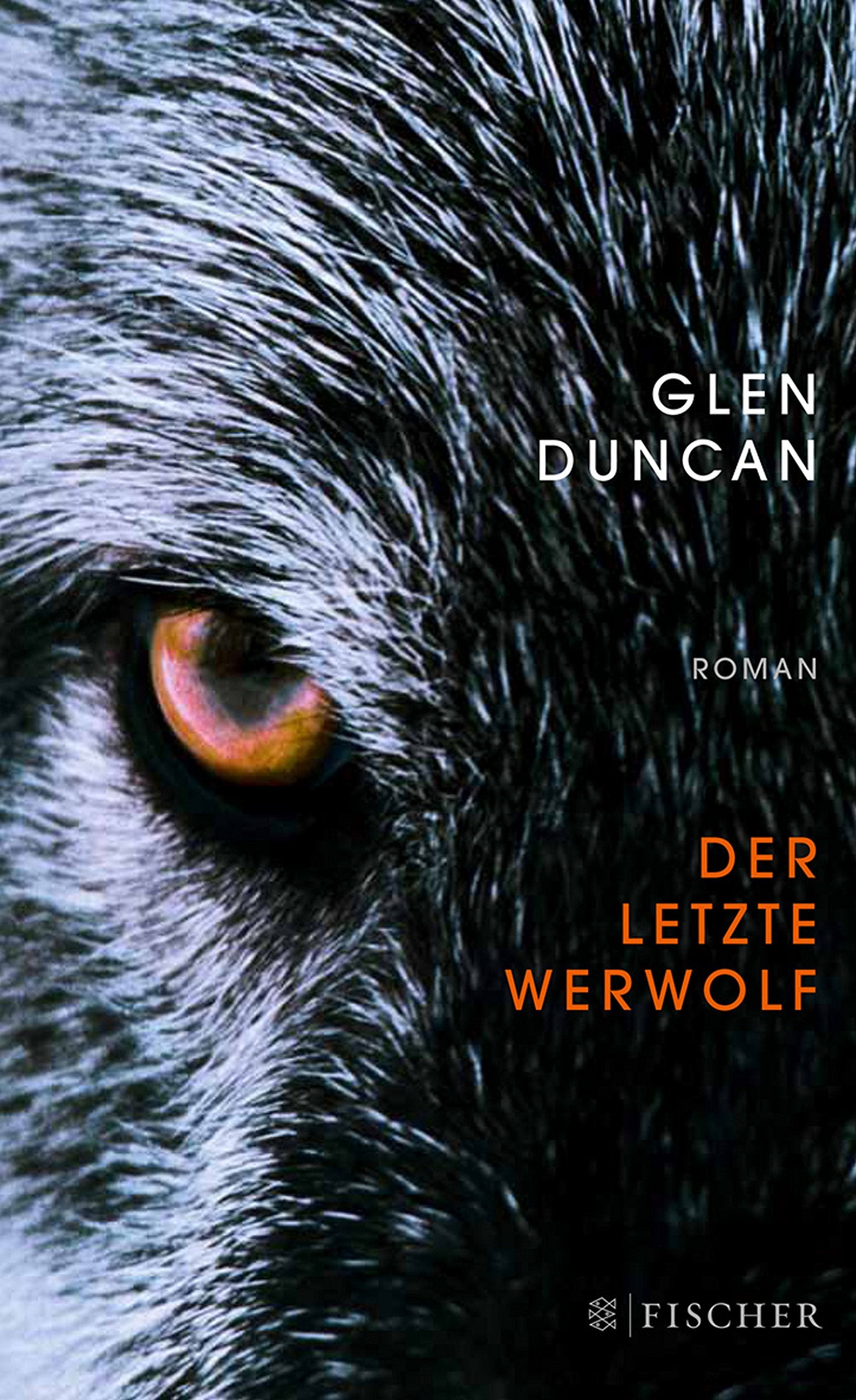 Der letzte Werwolf: Roman (Literatur (international)) Contemporary literature