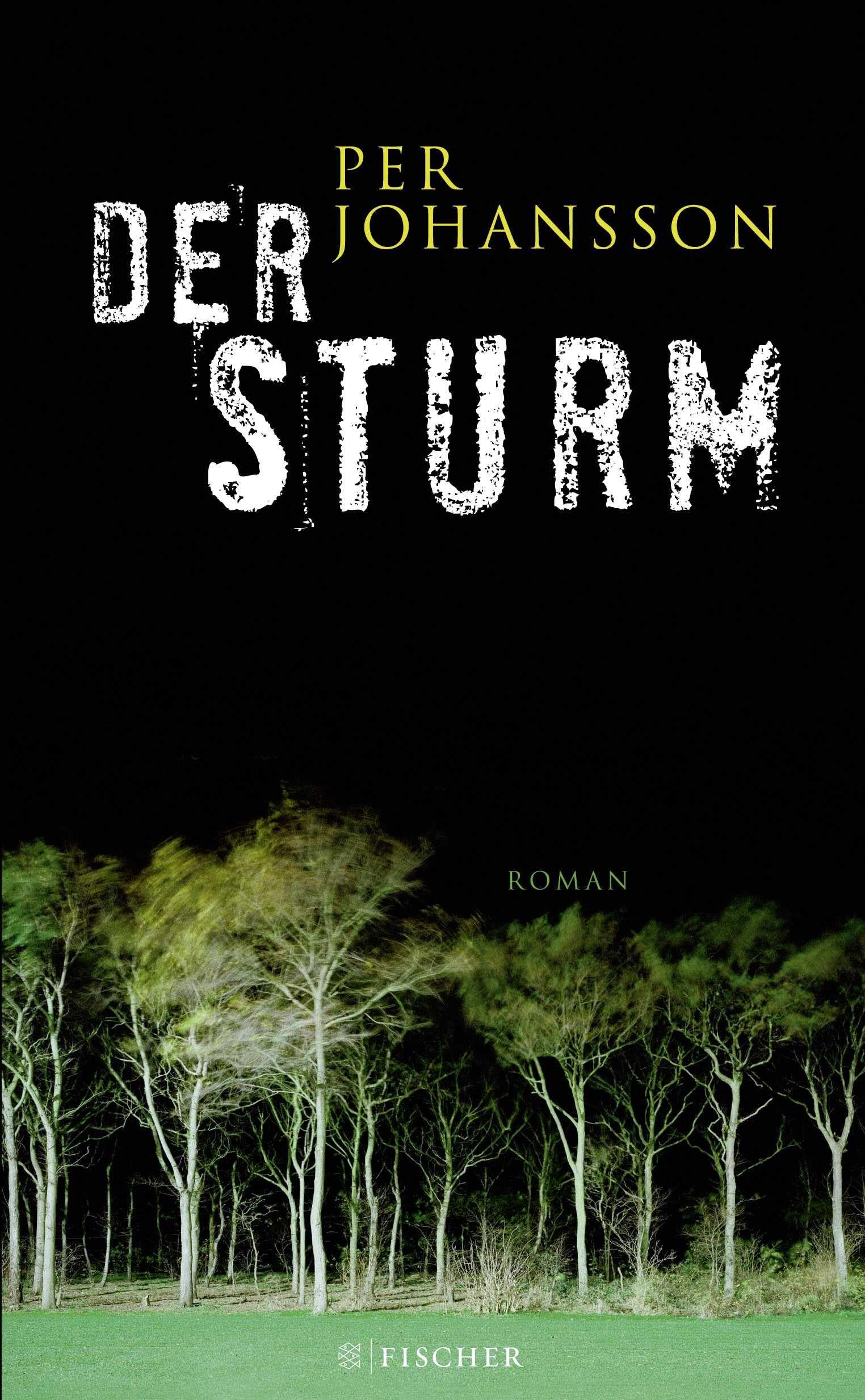 Der Sturm: Roman (Fischer HC) Action & Adventure