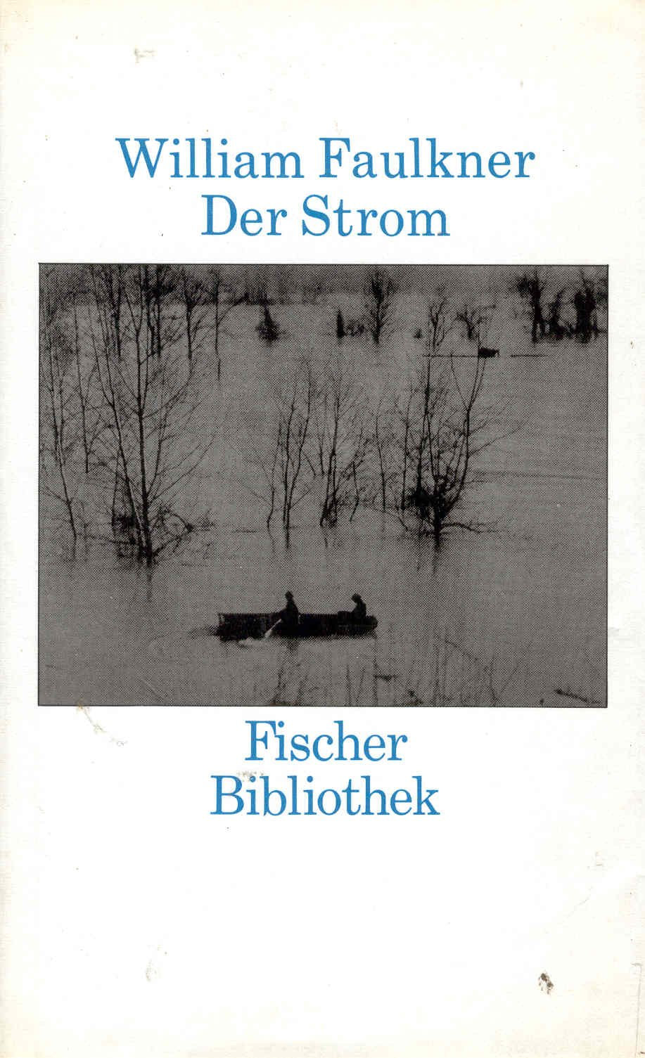 Der Strom. Roman book