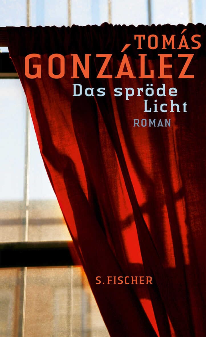 Das spröde Licht Contemporary literature