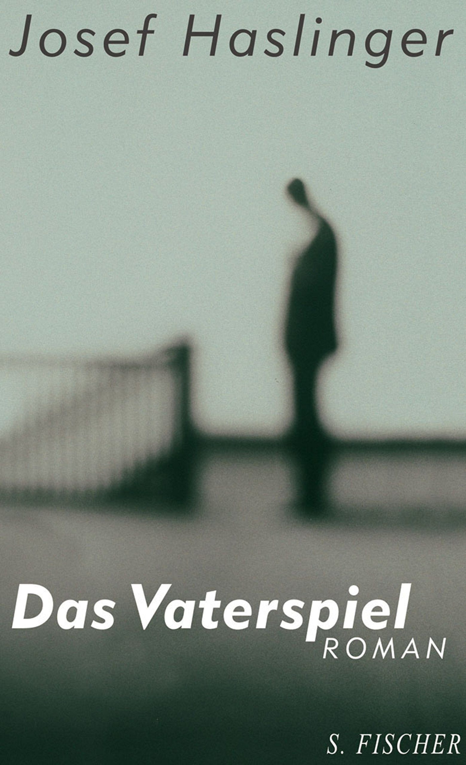 Das Vaterspiel: Roman Contemporary literature Books