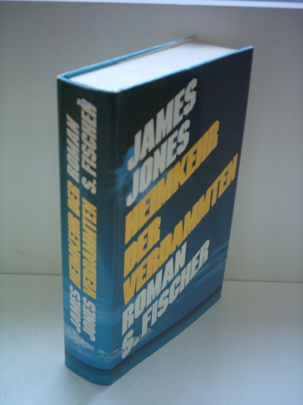 Heimkehr der Verdammten Contemporary literature