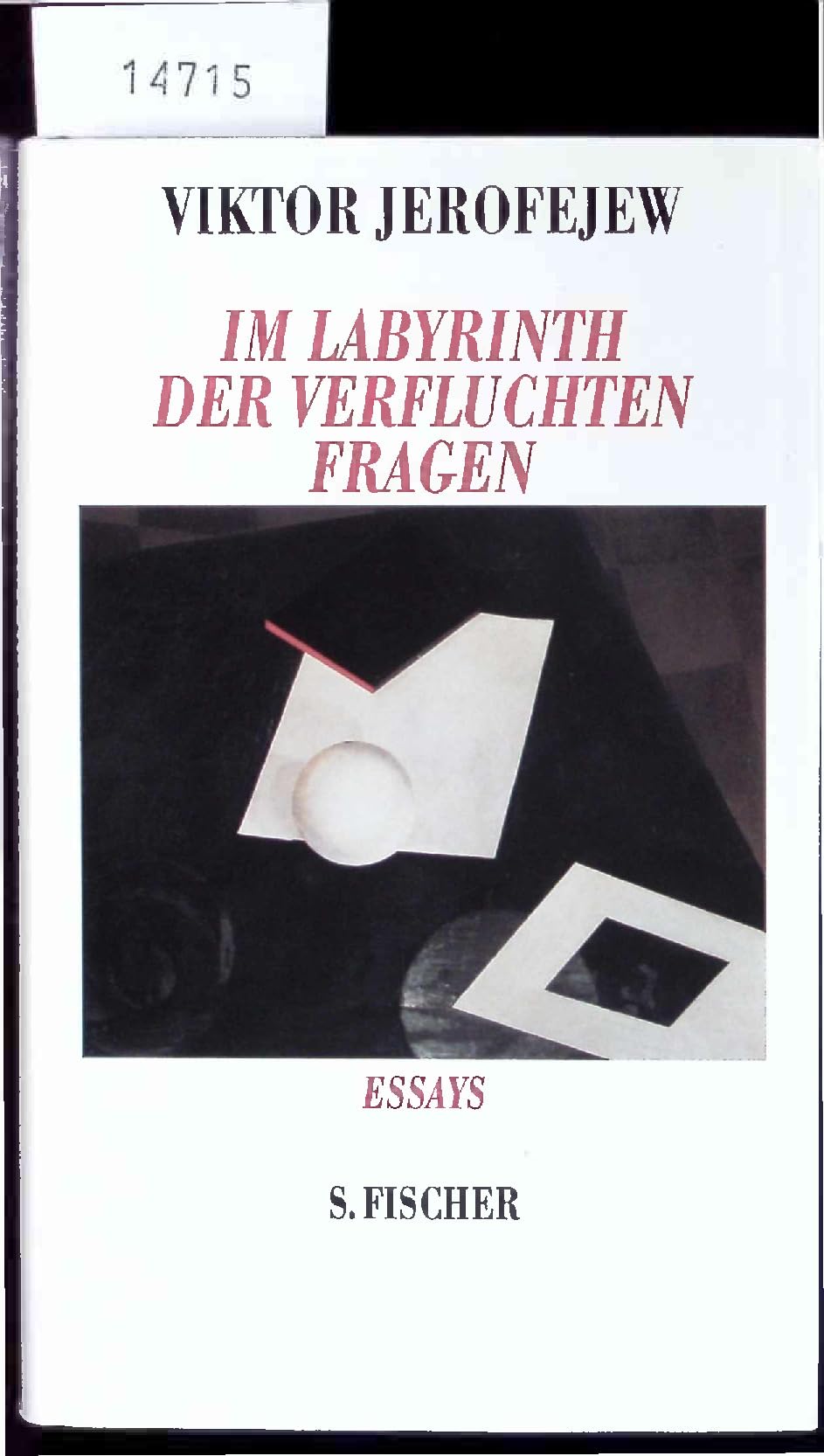 Im Labyrinth der verfluchten Fragen. Essays Books