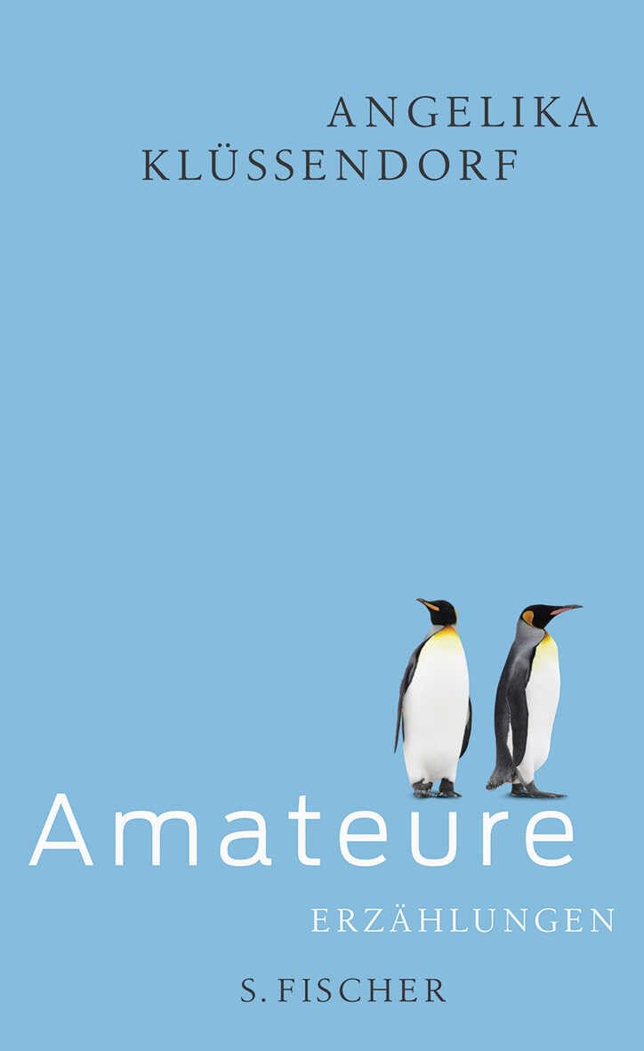 Product Image: Amateure