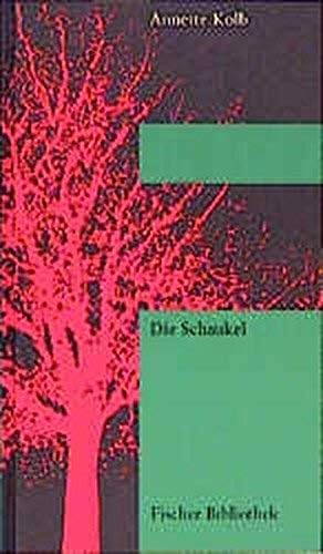 Die Schaukel (Fischer Bibliothek) Books