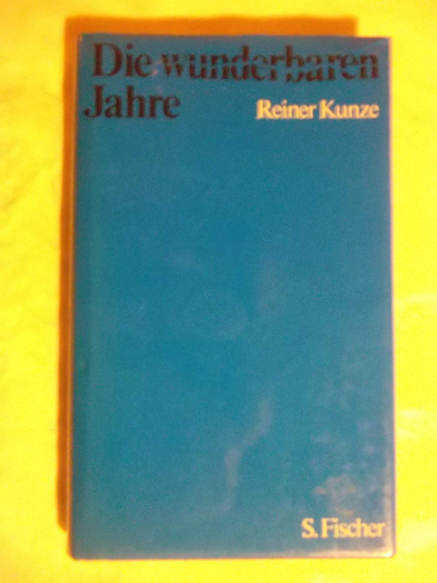 Die wunderbaren Jahre: Prosa Contemporary literature