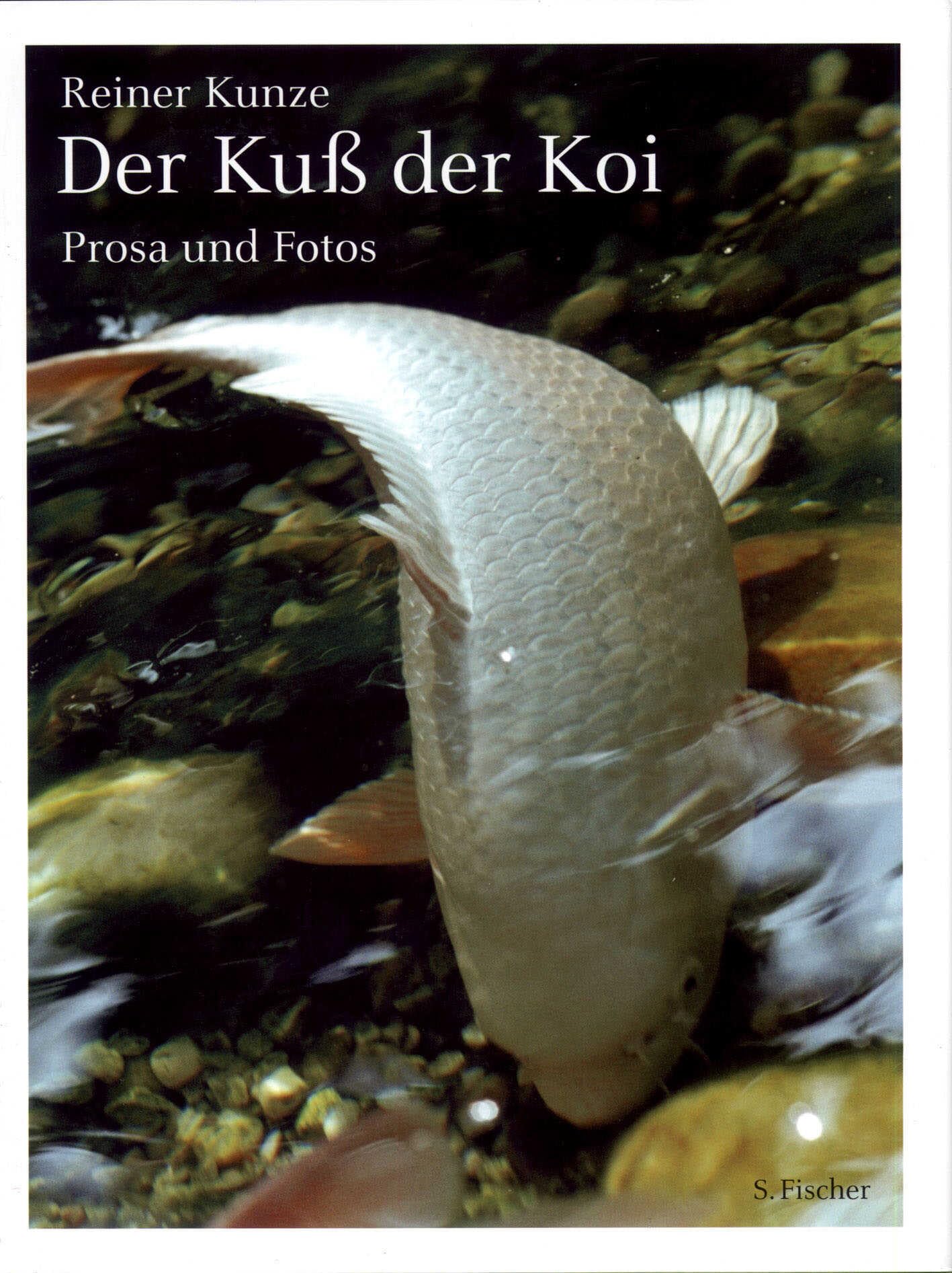 Der Kuß der Koi Poetry