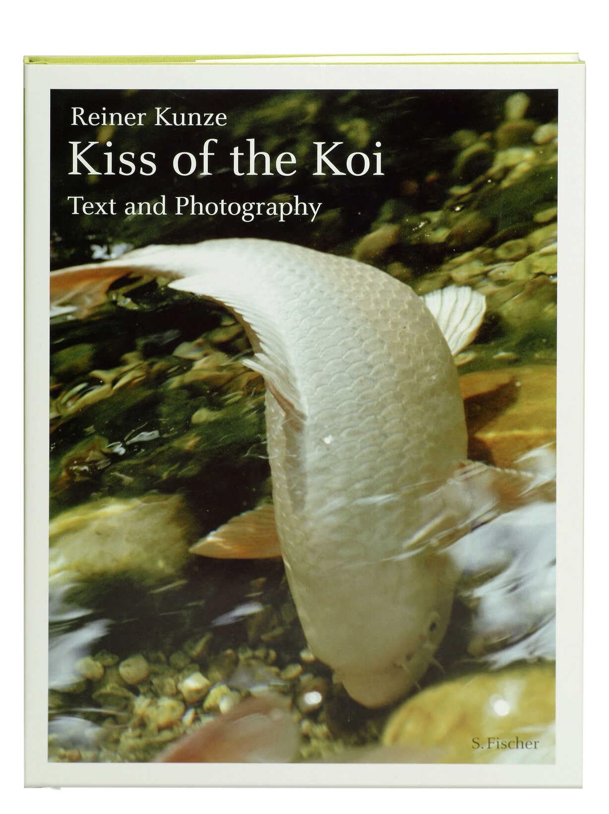 Product Image: Der Kuß der Koi (engl.)