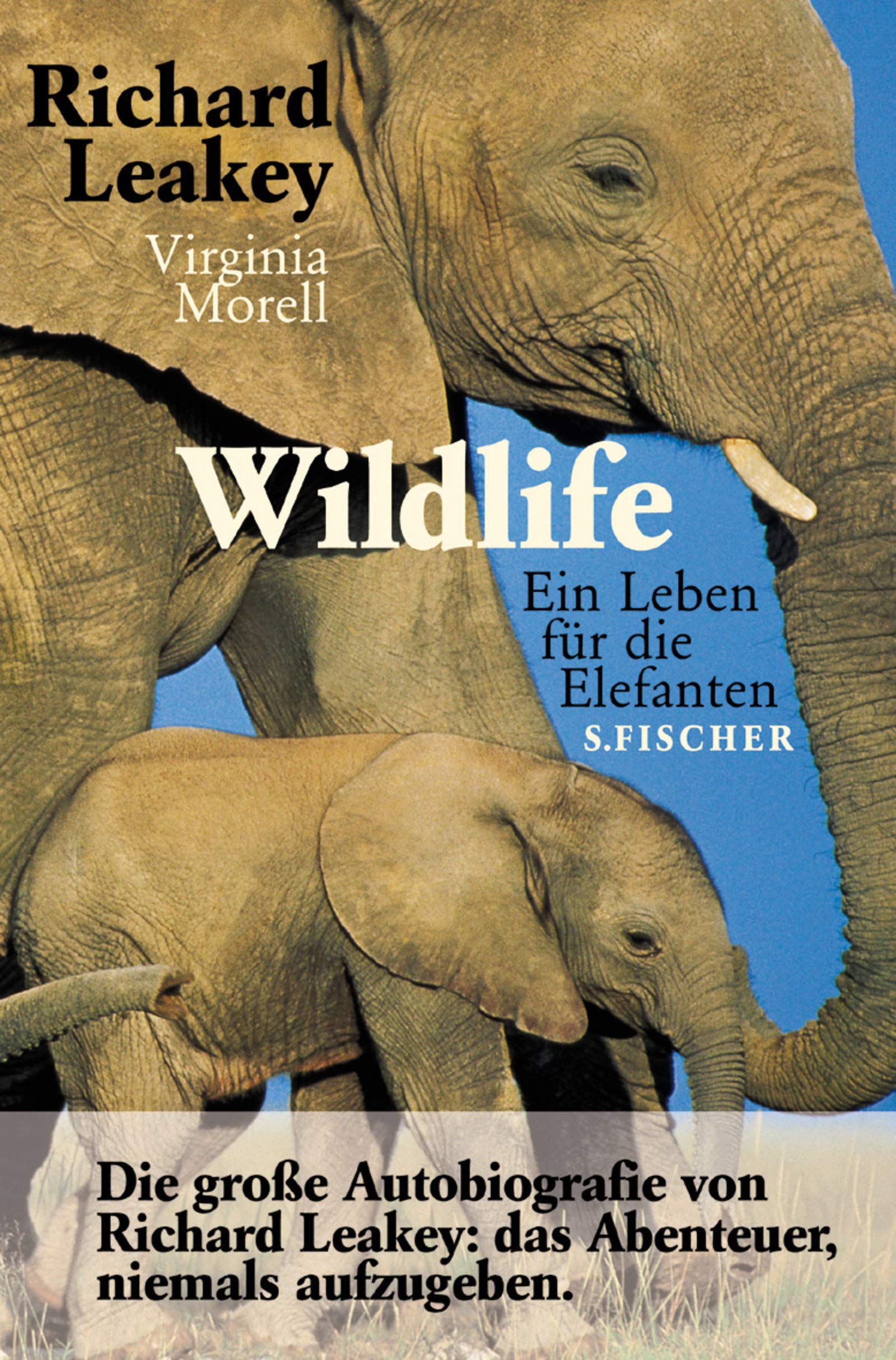 Wildlife. Ein Leben für die Elefanten. Memories